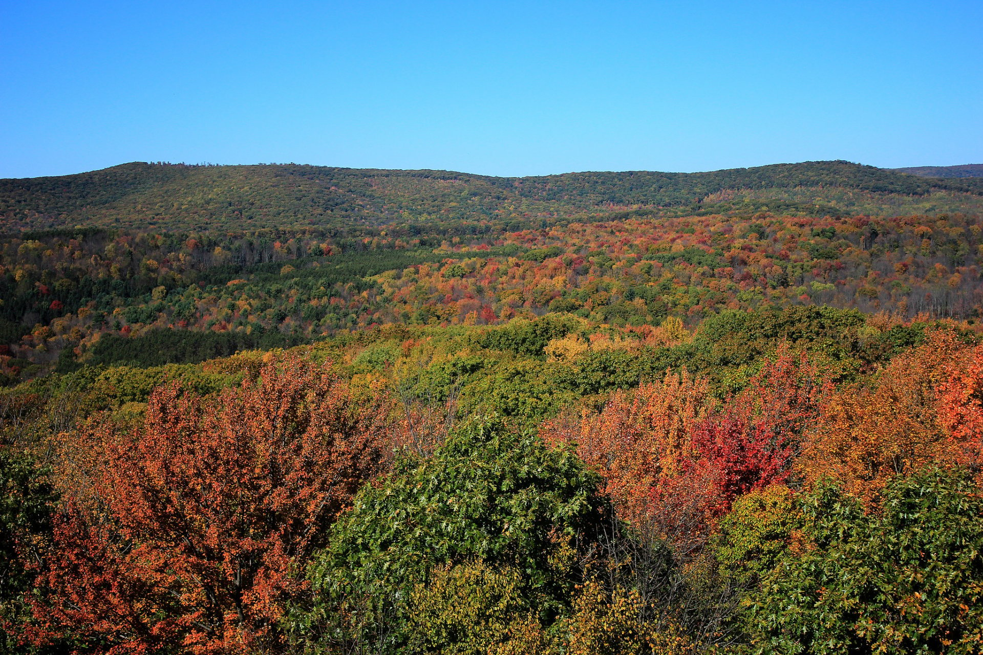 Pennsylvania Fall Foliage