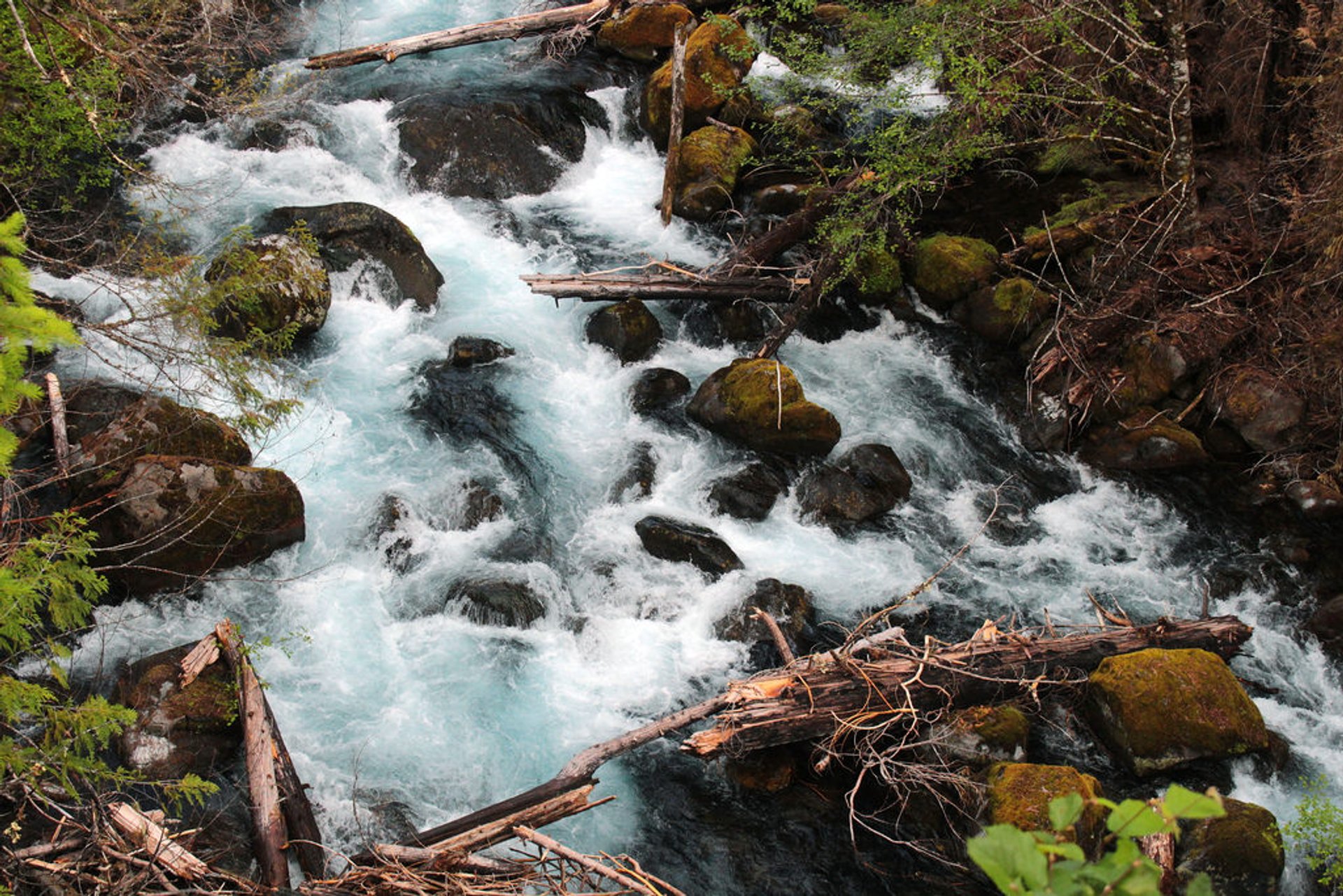 Sahalie and Koosah Falls