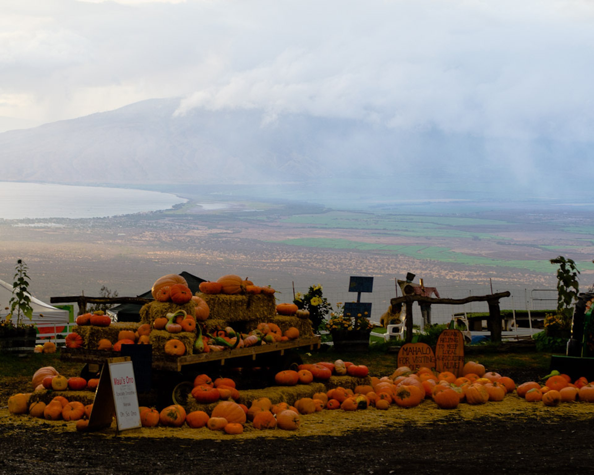 Great Pumpkin Festival