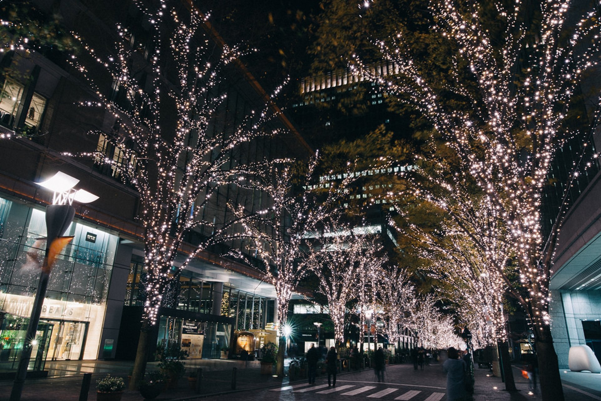 2023/2024 Winter Illuminations in Tokyo