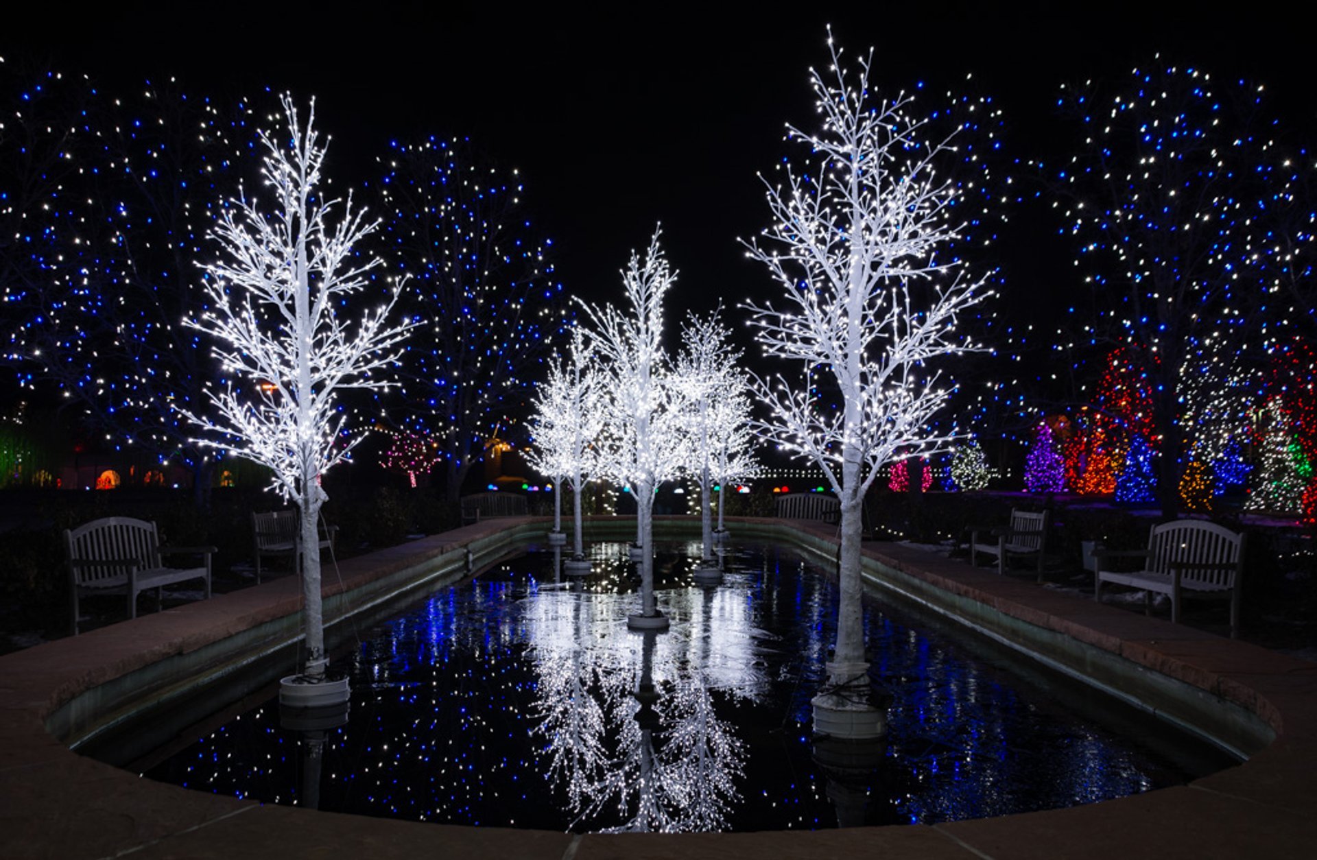 Christmas Lights Denver 2021 Best Christmas Lights 2021