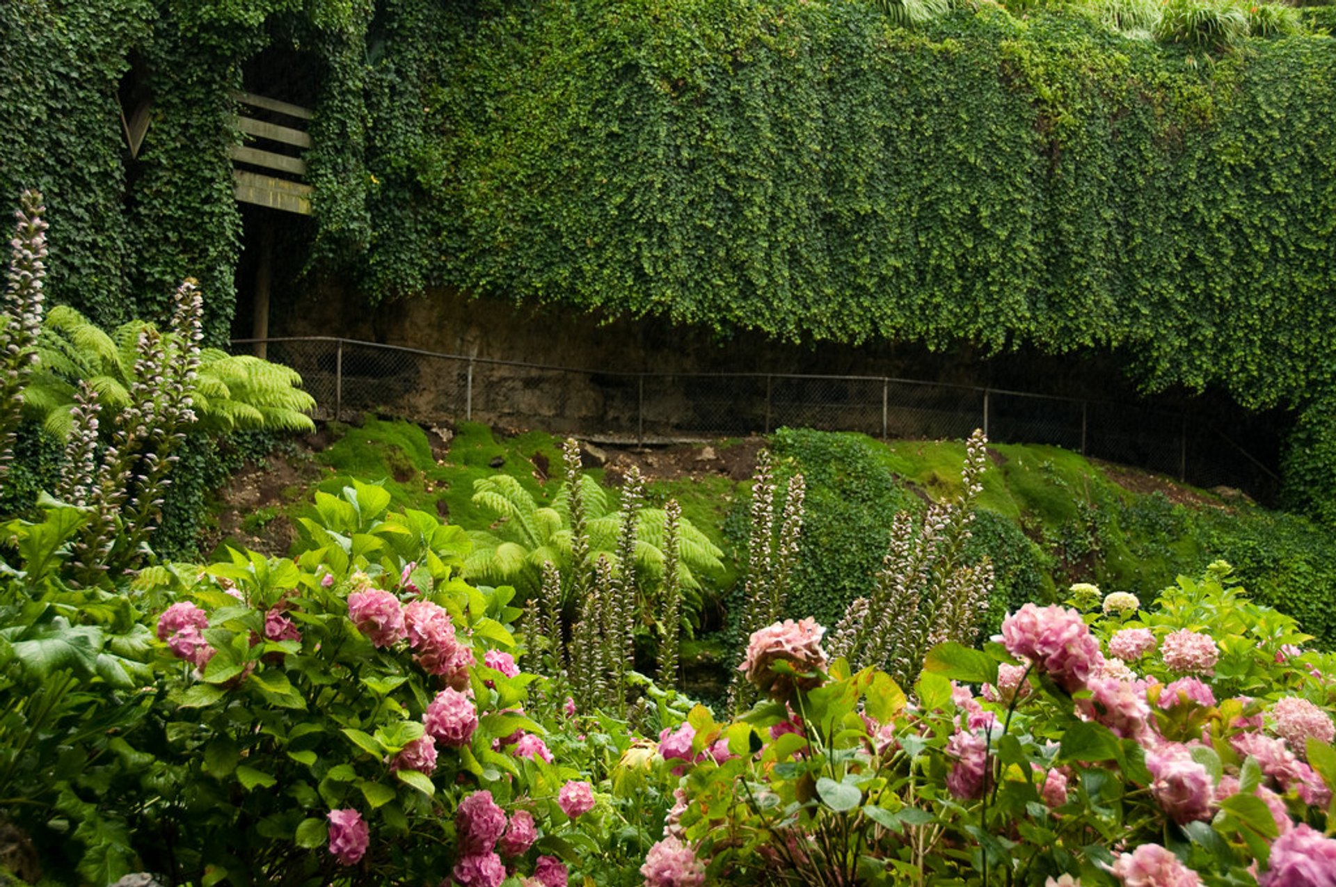 Umpherston Sinkhole