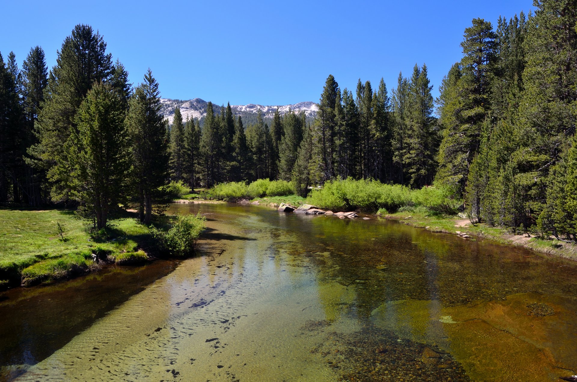 Tuolumne Meadows