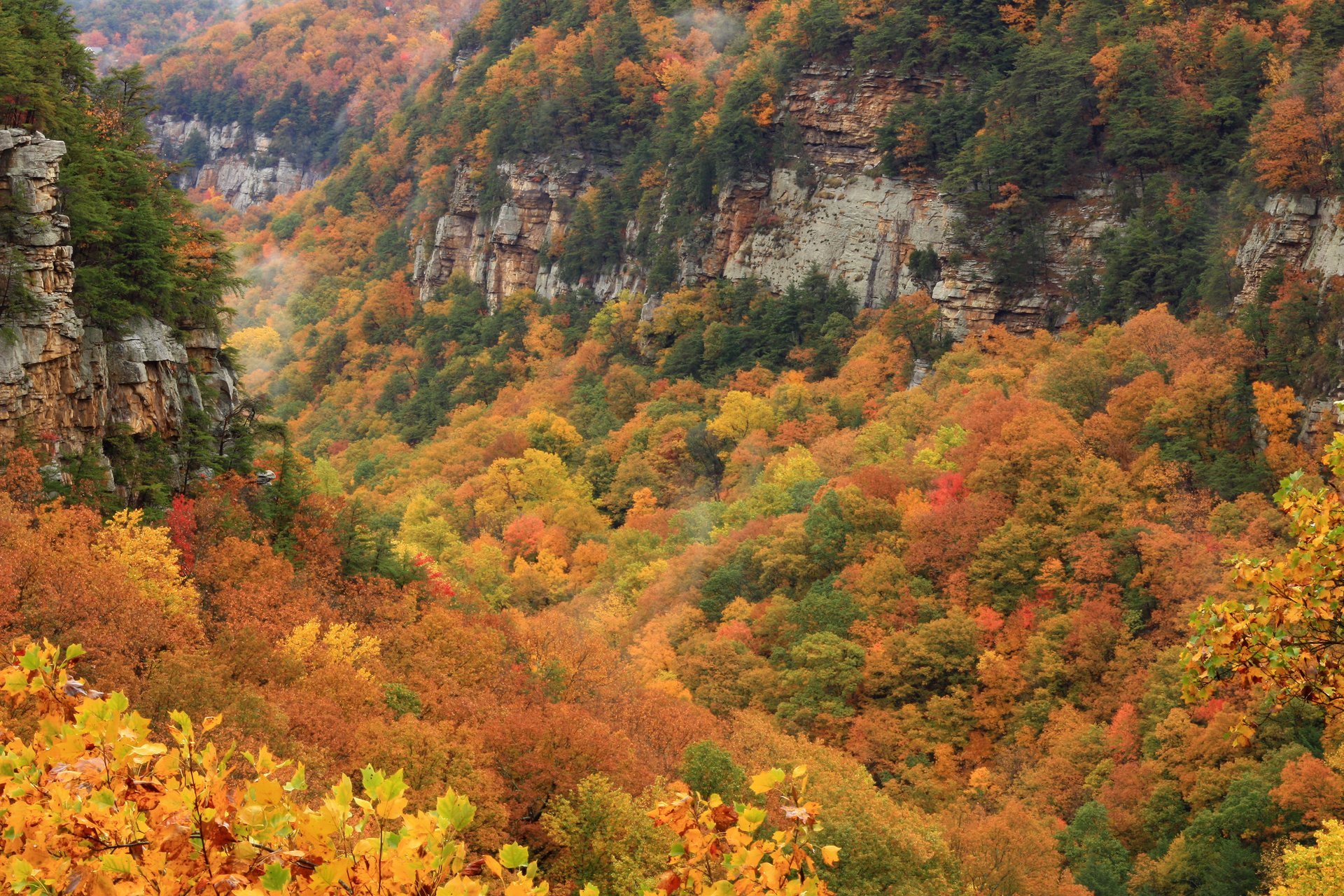 Georgien Herbstlaub