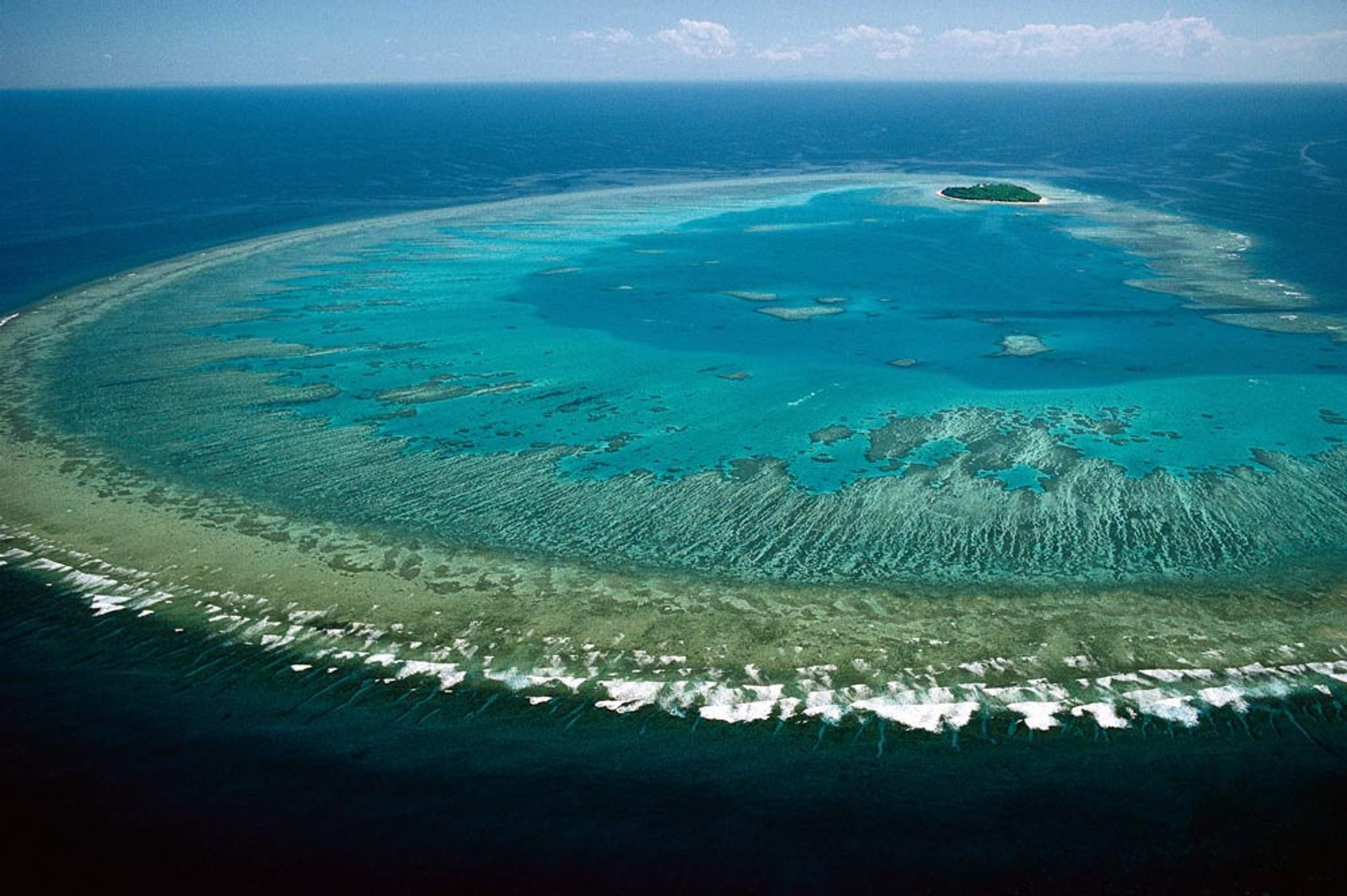 Épave de polypes de corail