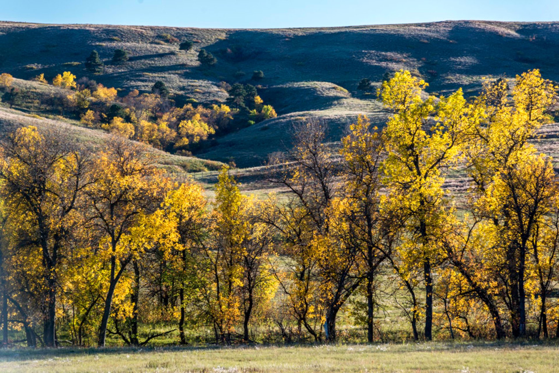 Couleurs d'automne