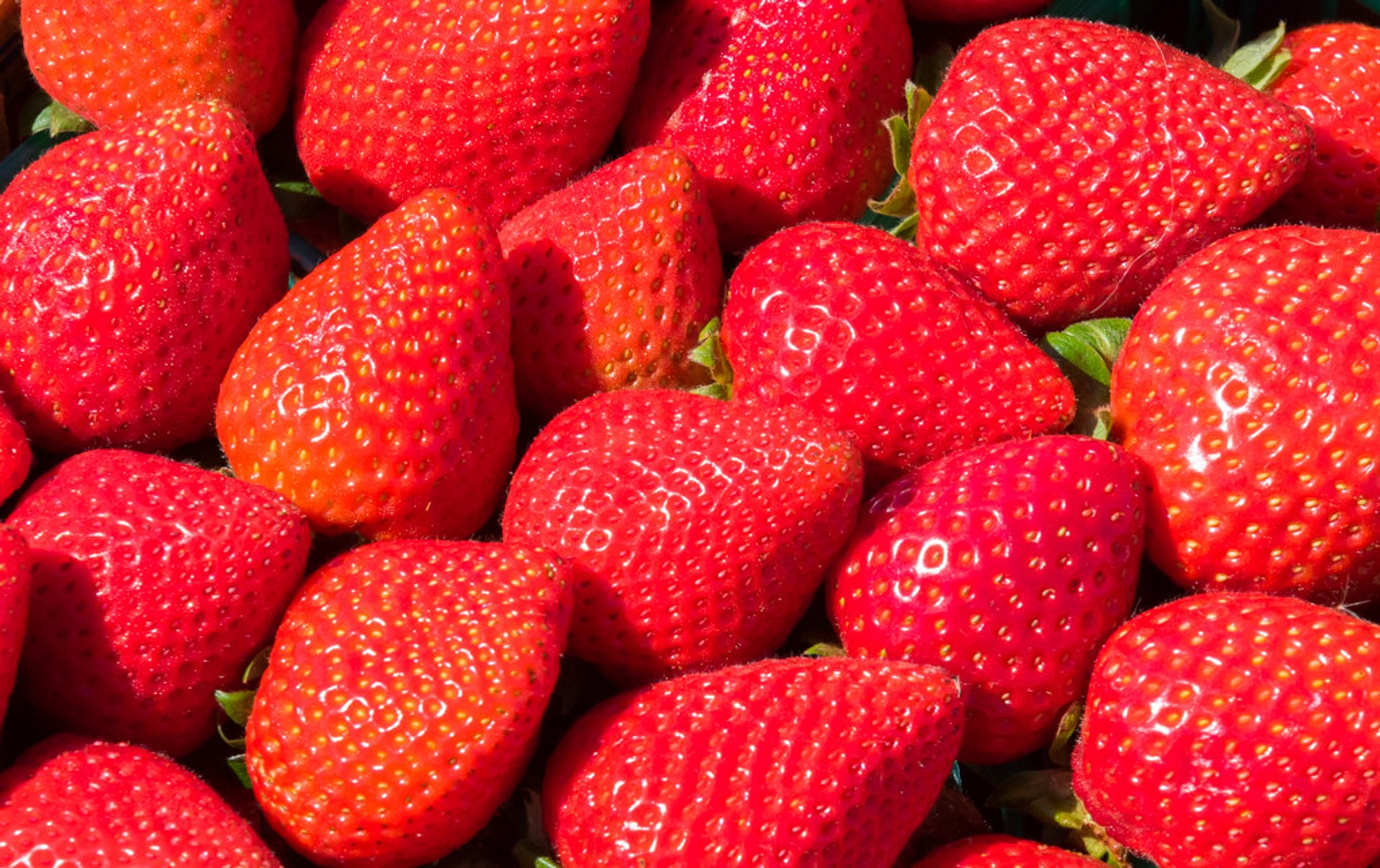 California Strawberry Festival 2021 Dates Map