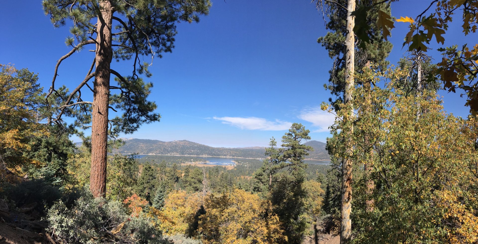 Big Bear Lake Herbstlaub