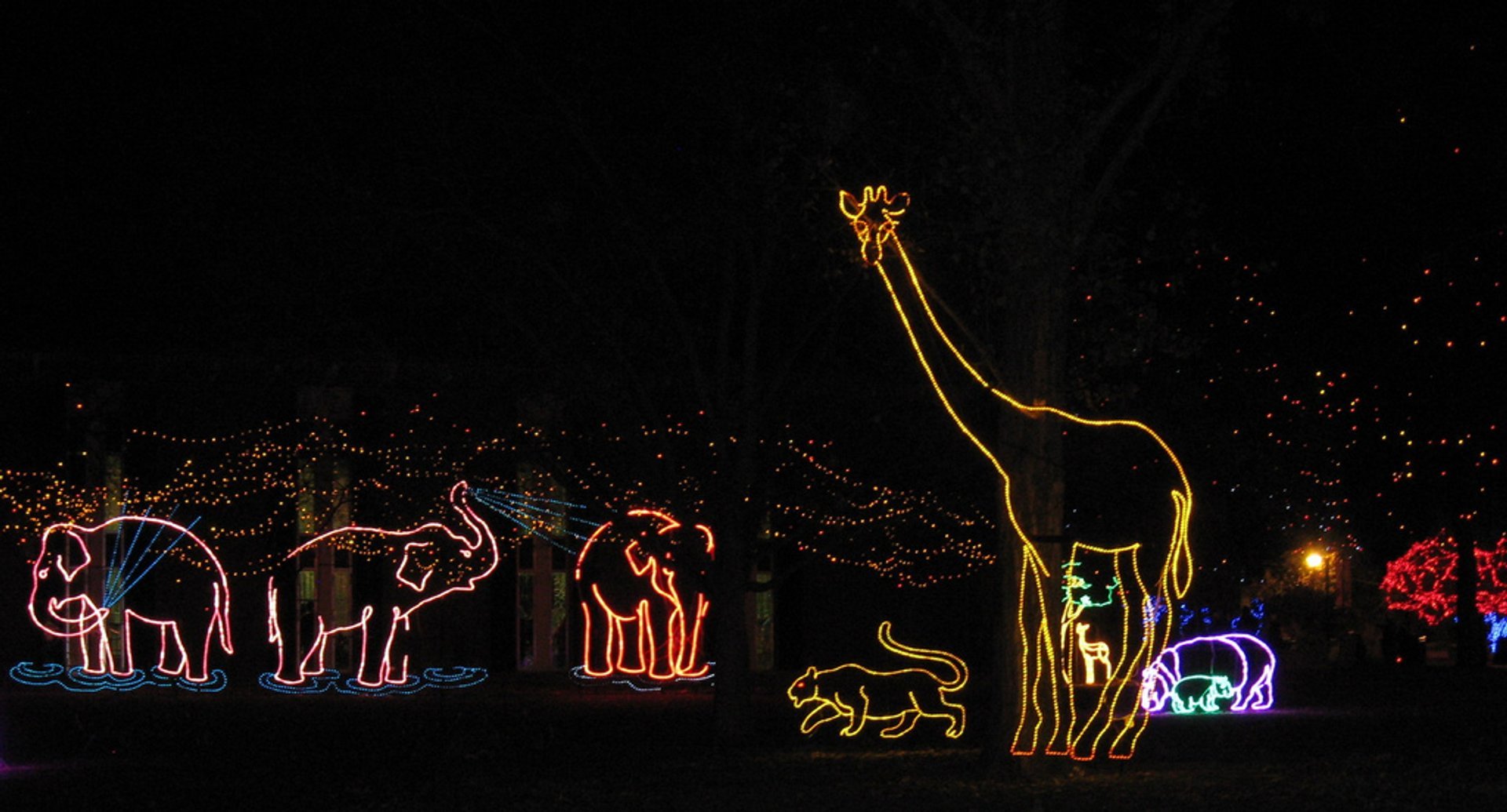 Lumières de Noël à Denver