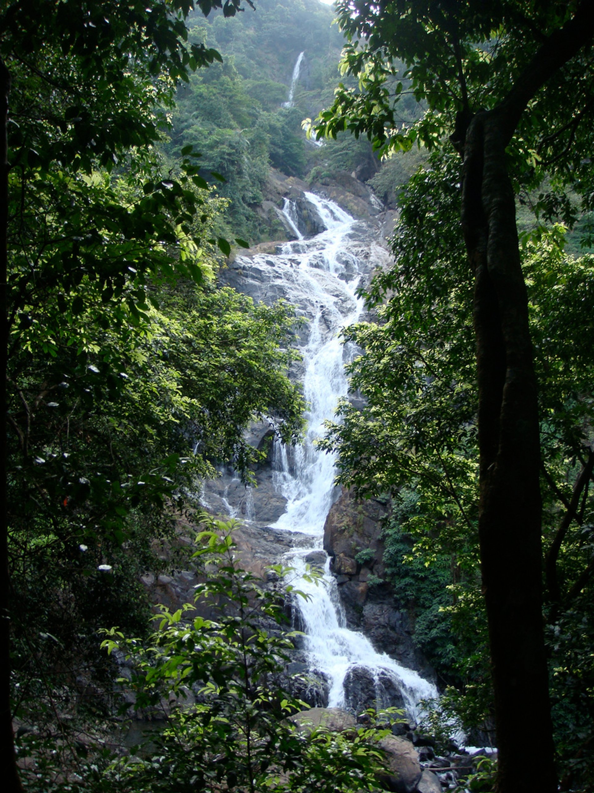 Cascades au débit maximal