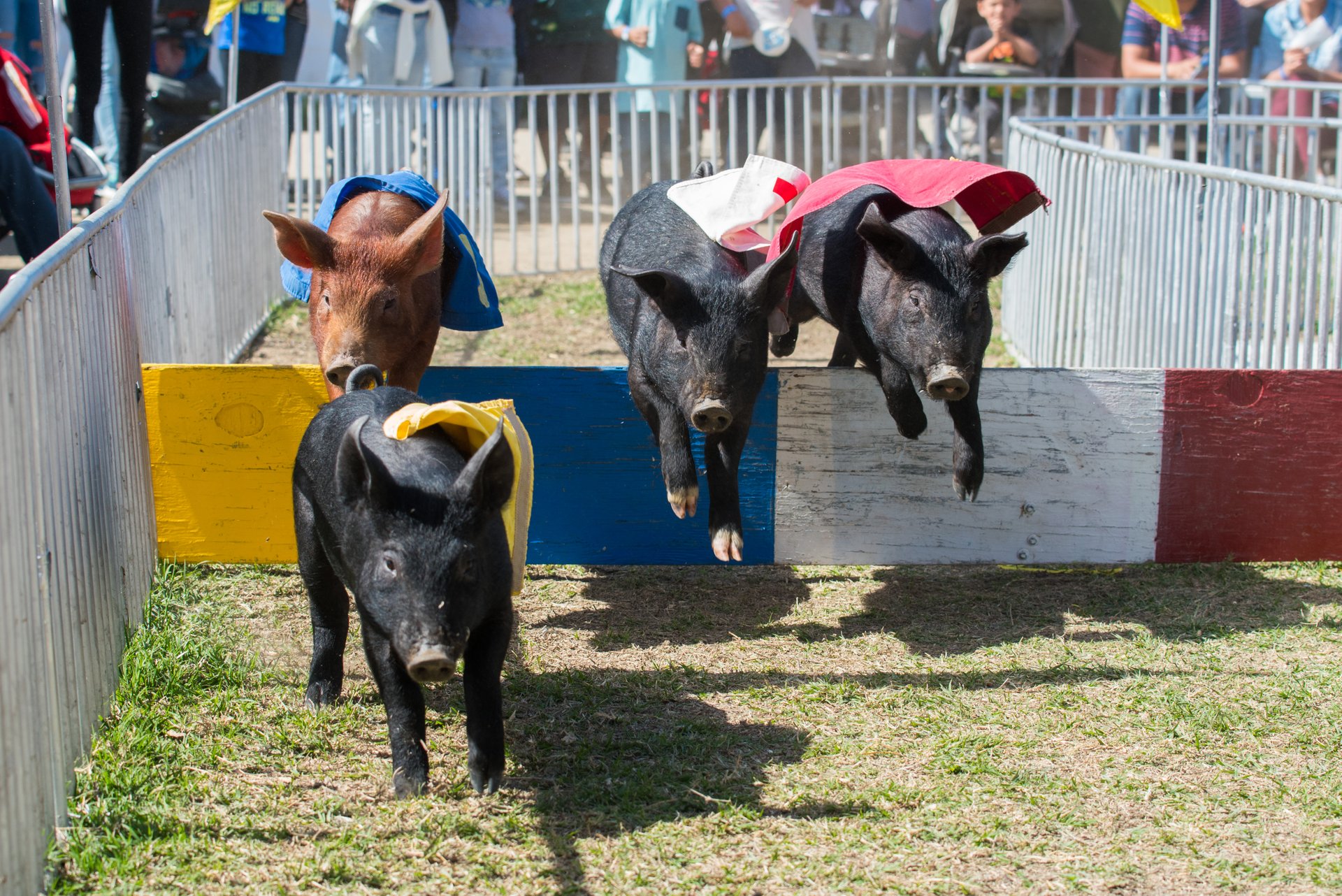 Riverside County Fair & National Date Festival