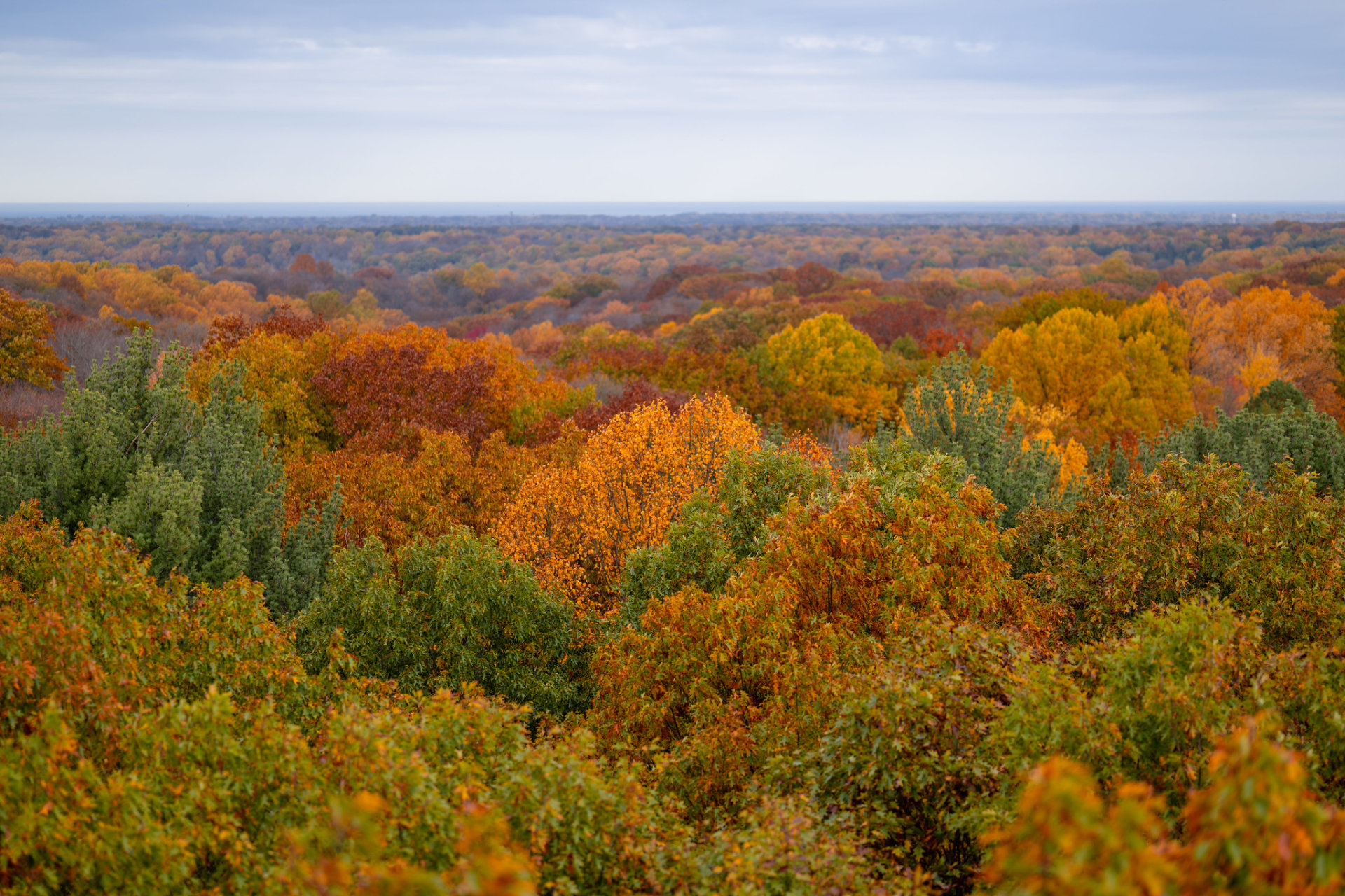 Herbstfarben in Ohio