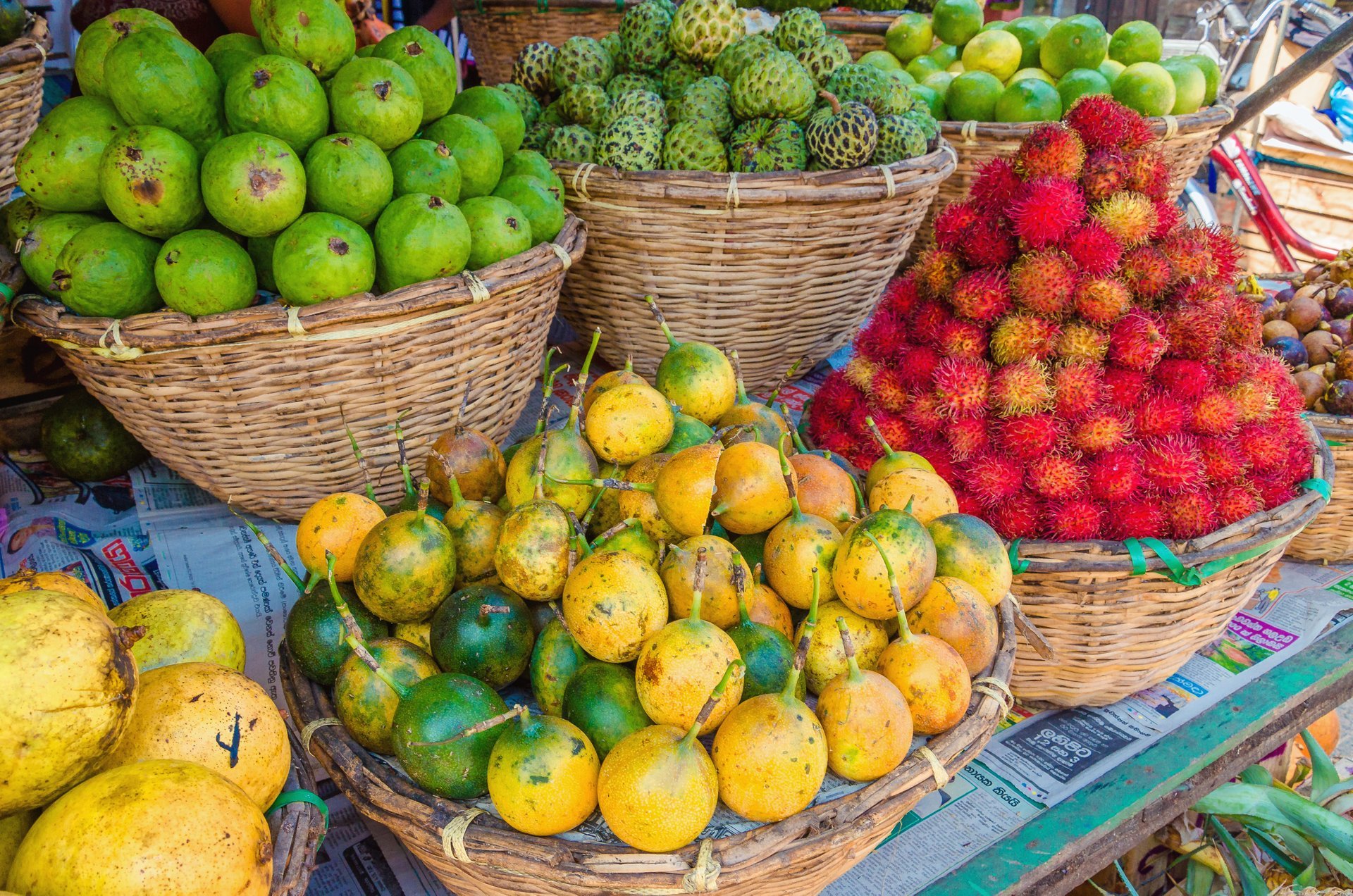 Estação de frutas (estação de chuva)