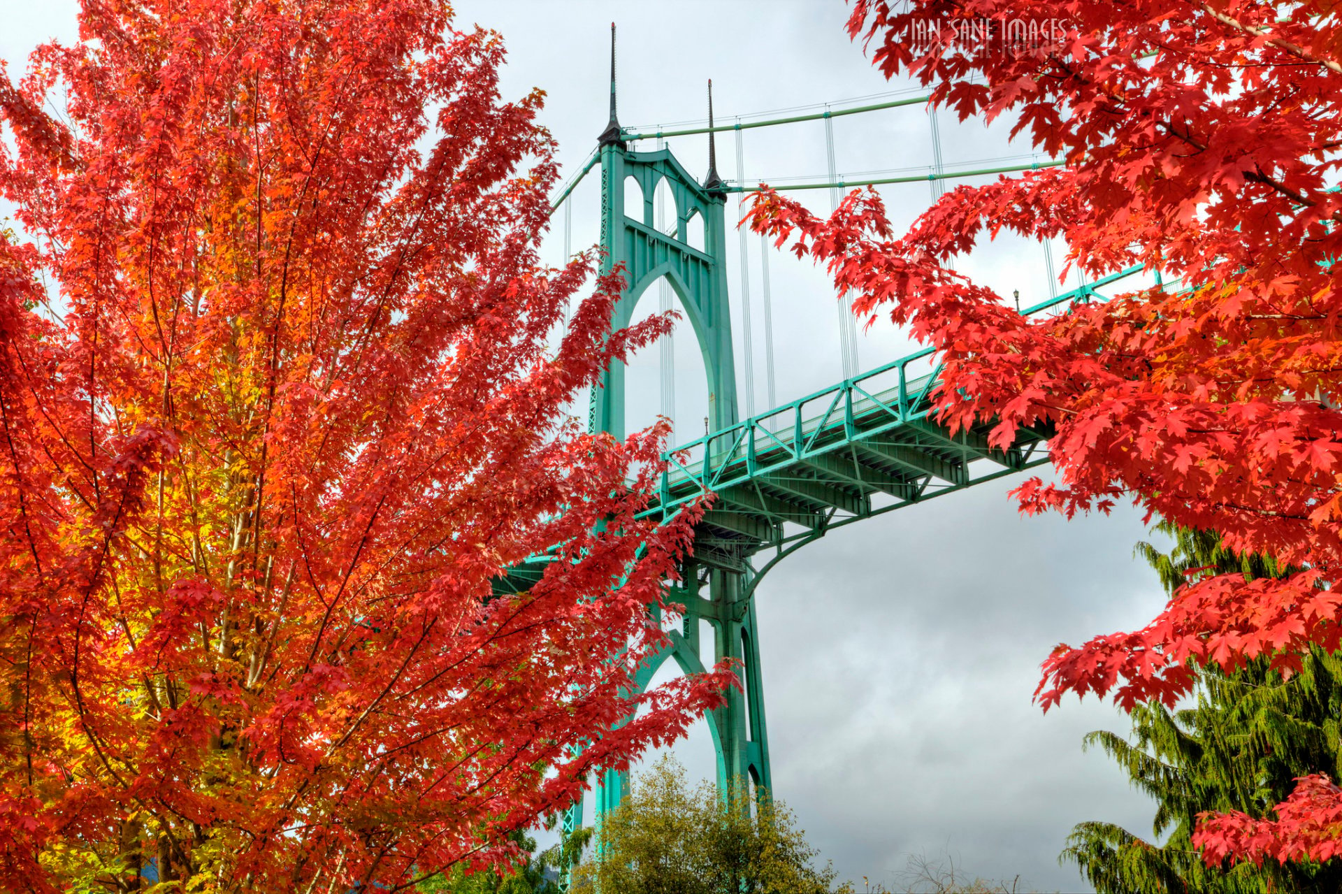 Portland Herbstlaub