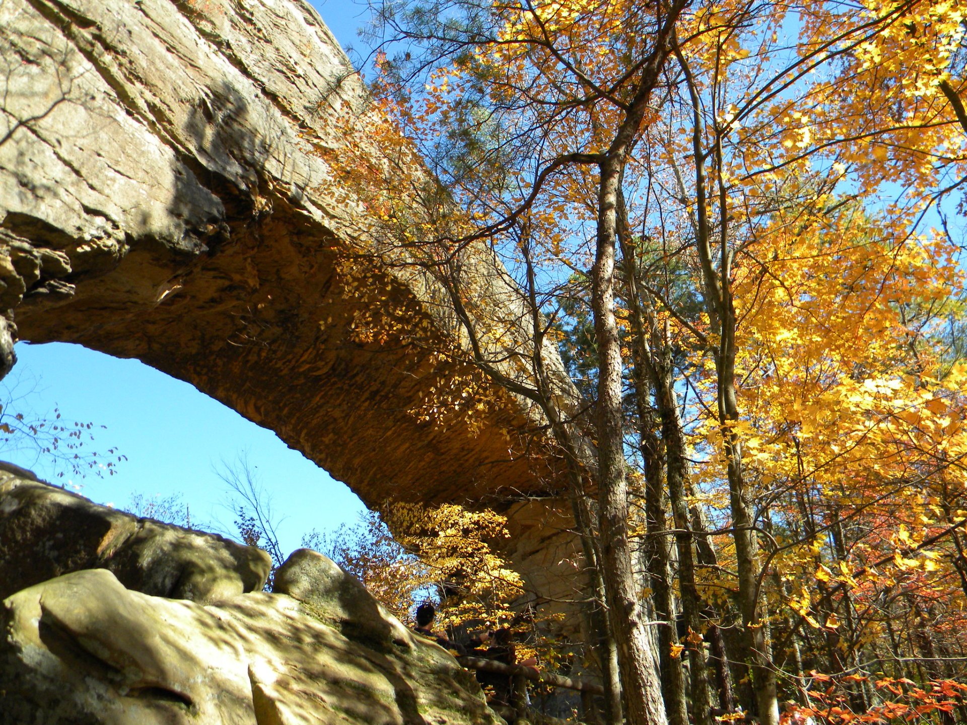 Red River Gorge Fall Colors