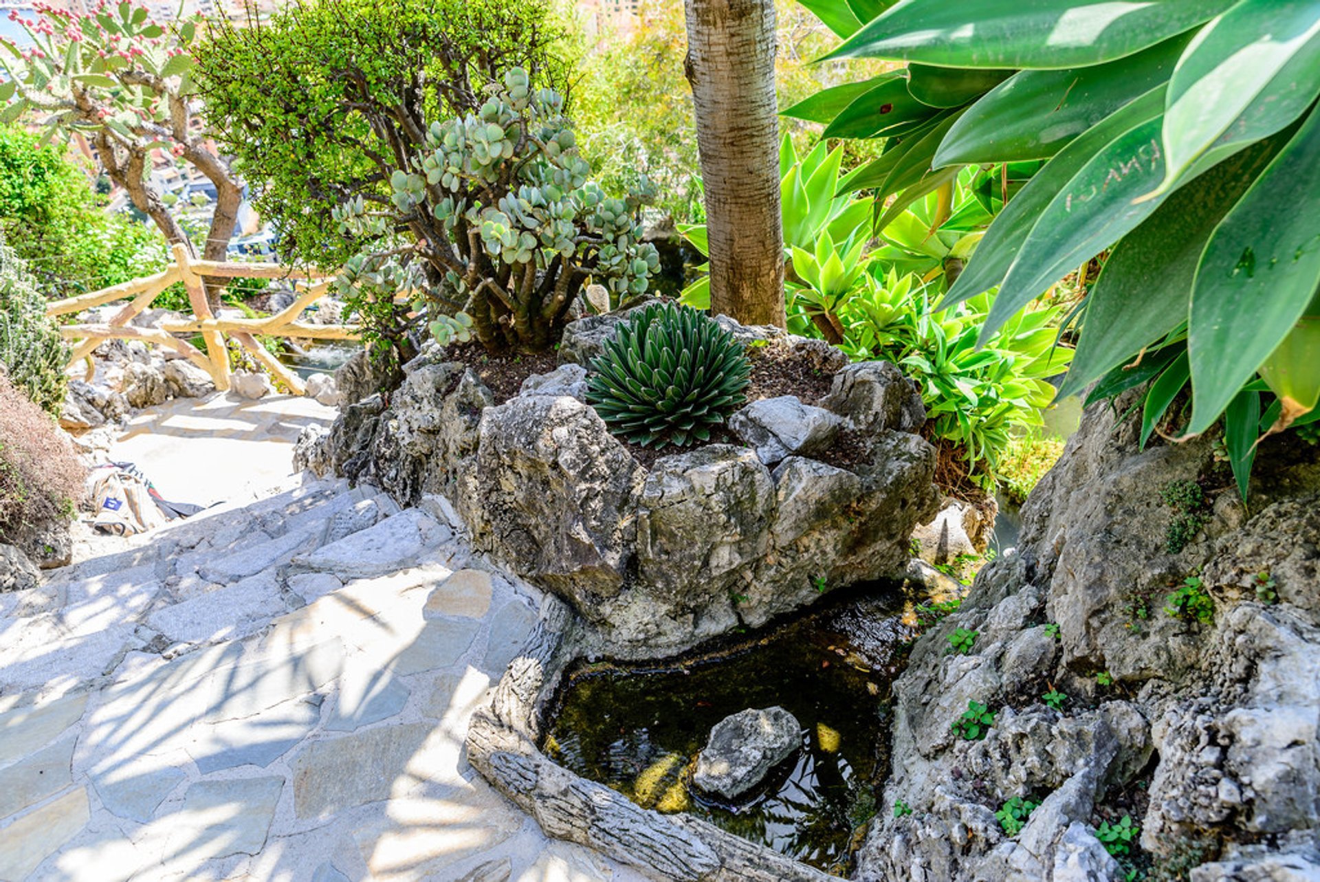 Jardin exotique de Monaco