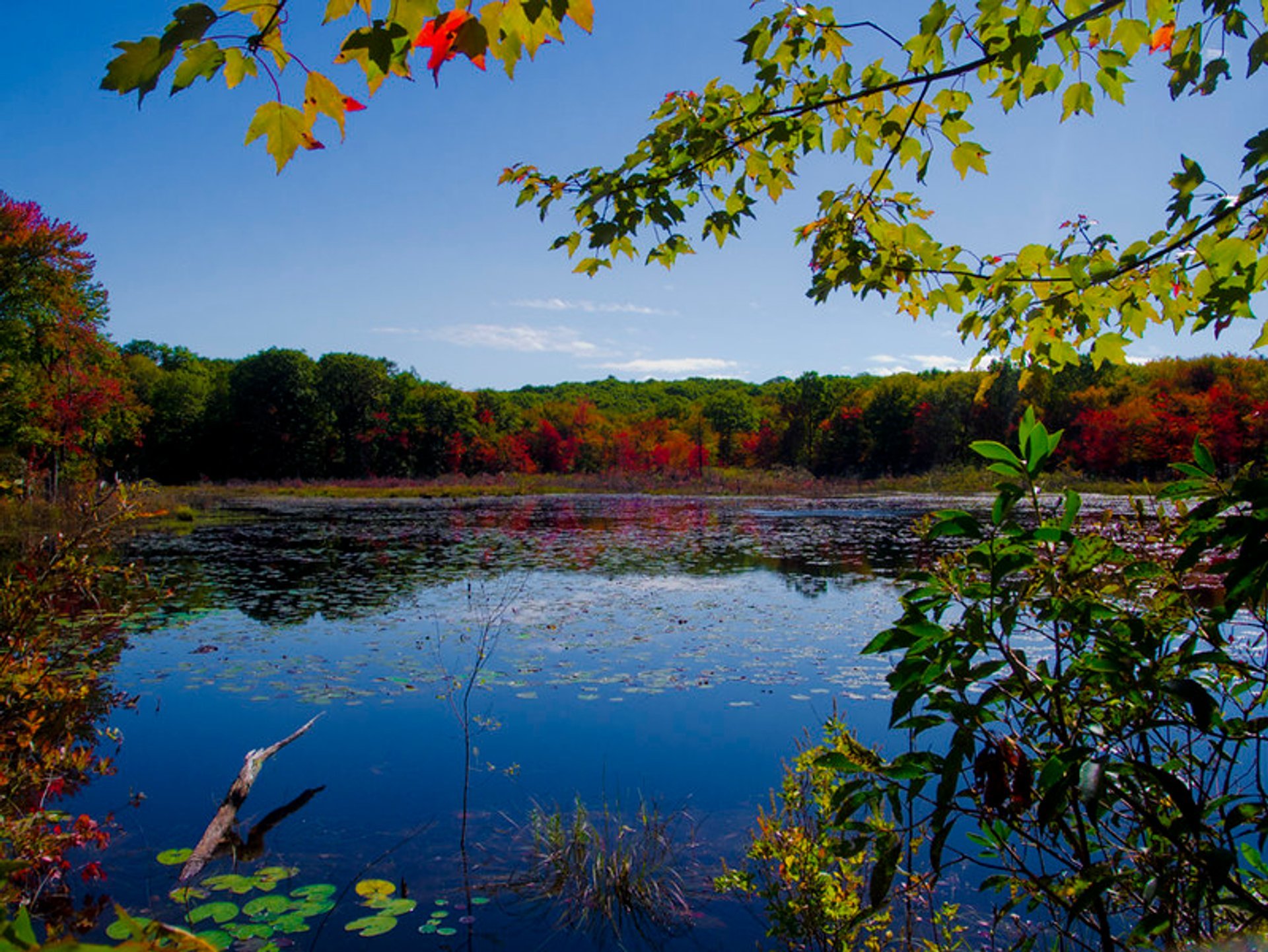 Cores de outono em Connecticut