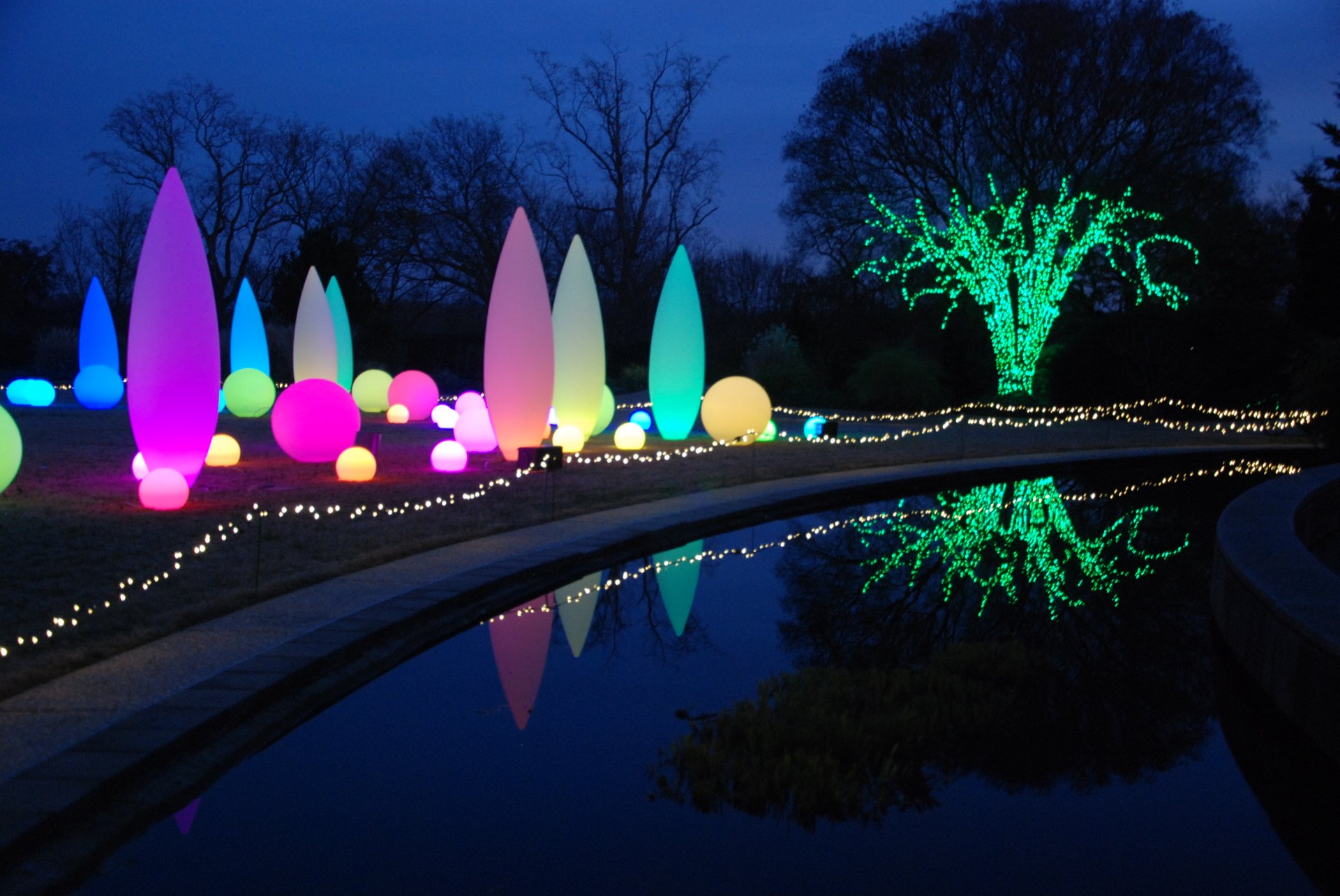 Atlanta Botanical Gardens Christmas / Garden Lights - Holiday Nights at