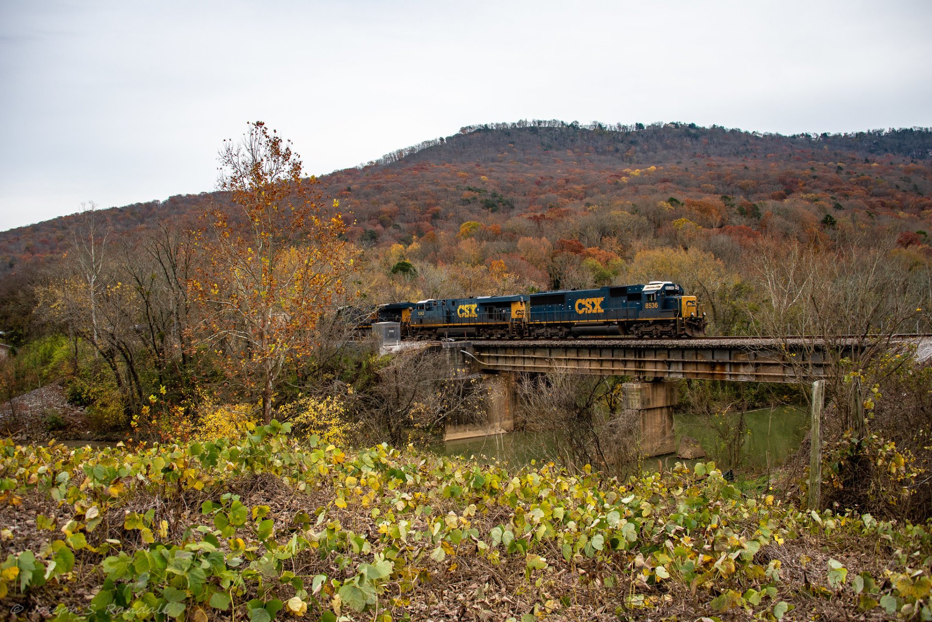 Couleurs d'automne de Chattanooga