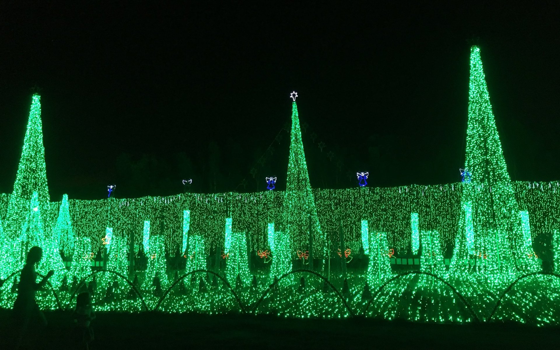 Lumières de Noël à Fort Lauderdale