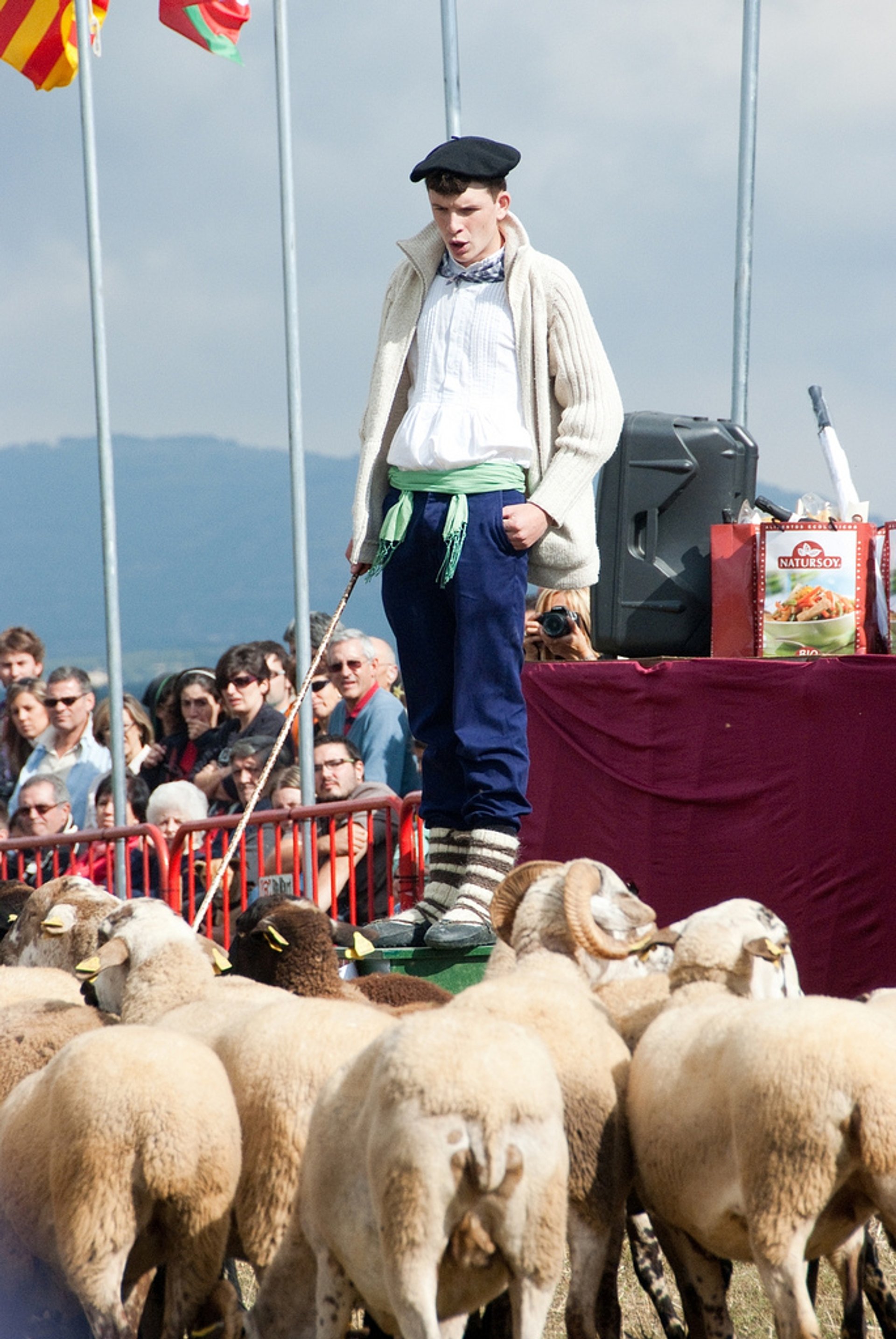 Gossos d'Atura (Sheep Dog) Competitions