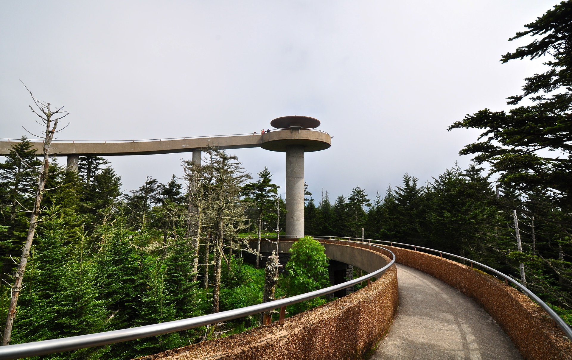 Clingmans Dome