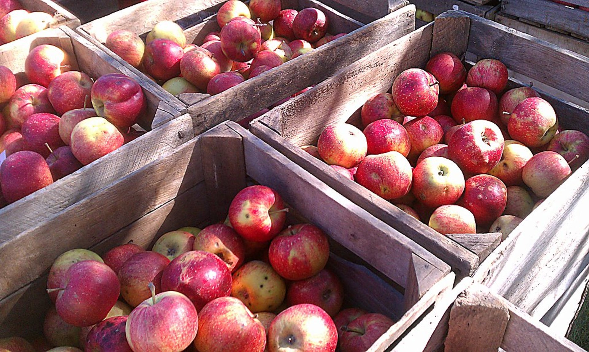 Long Grove Apple Fest