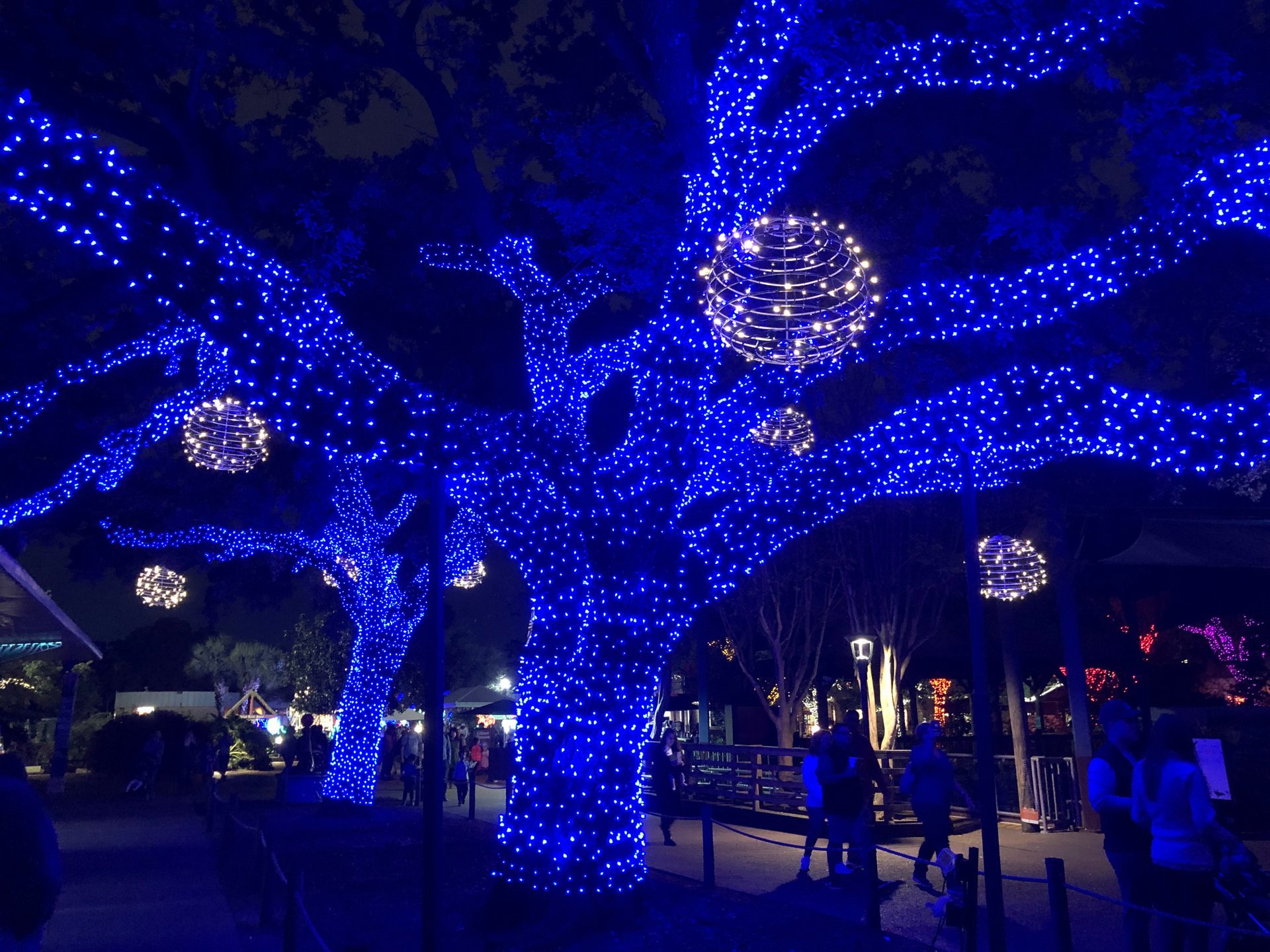 Lumières de Noël de Houston