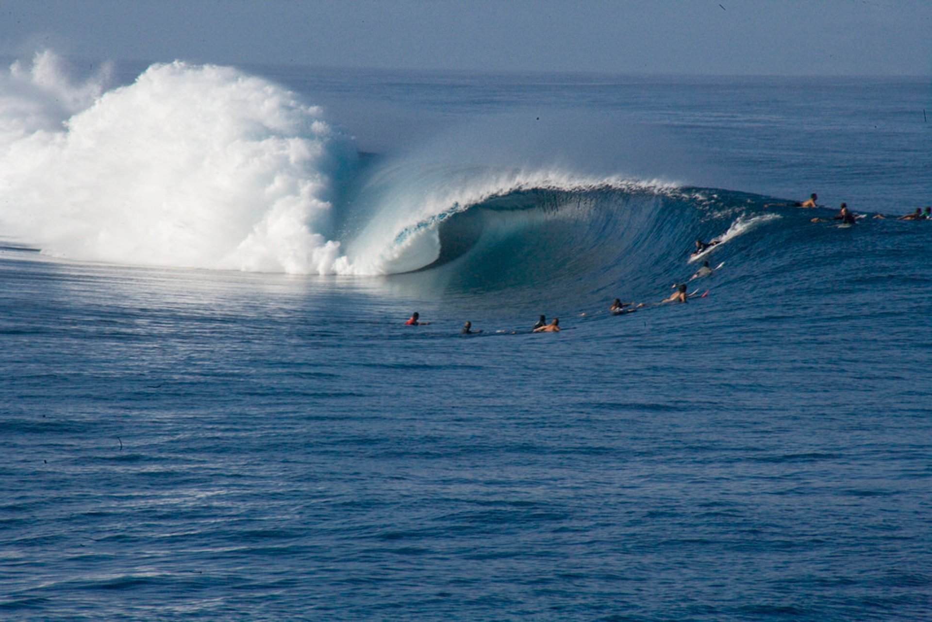 Surfen oder Wellenreiten