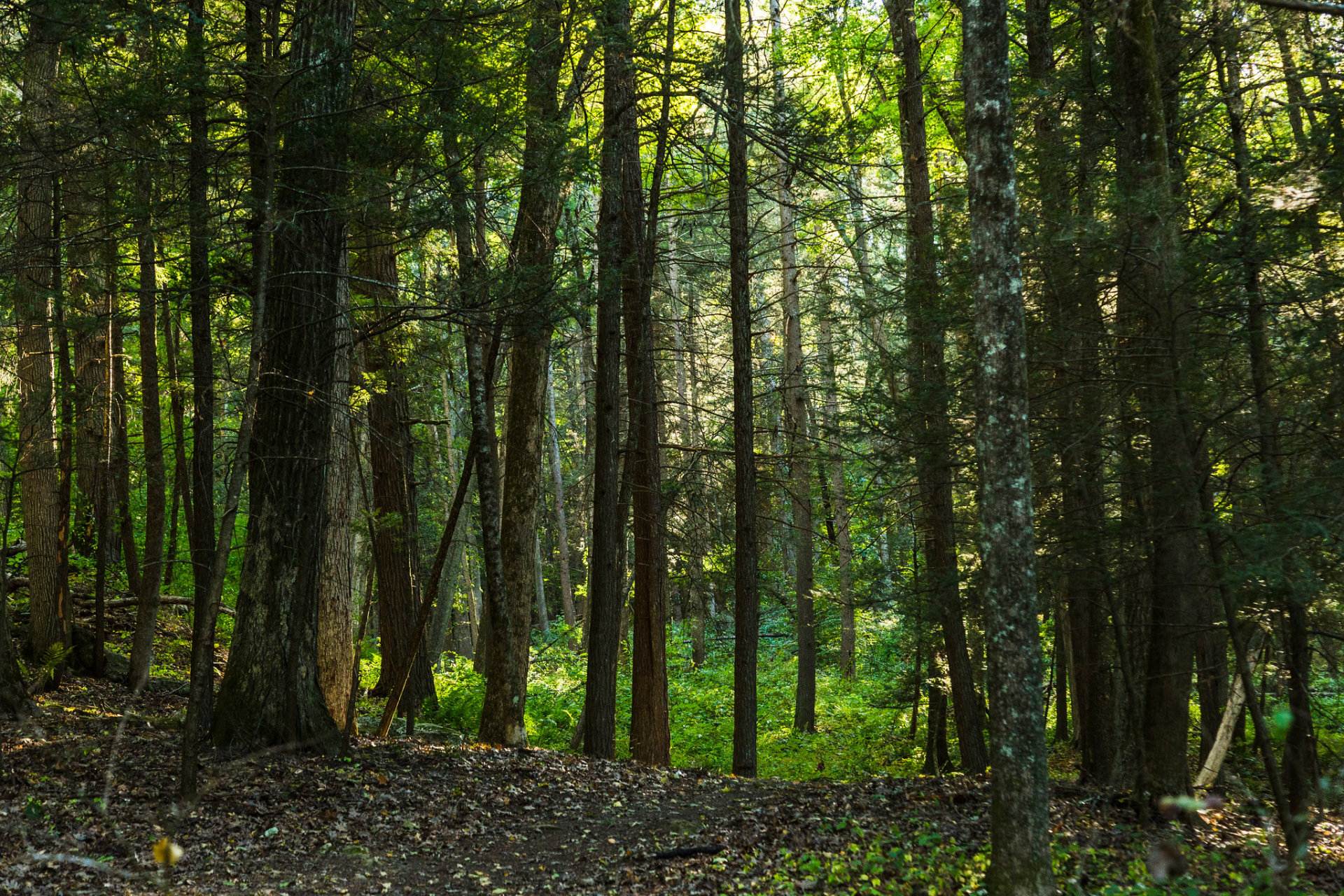 Kent Falls State Park