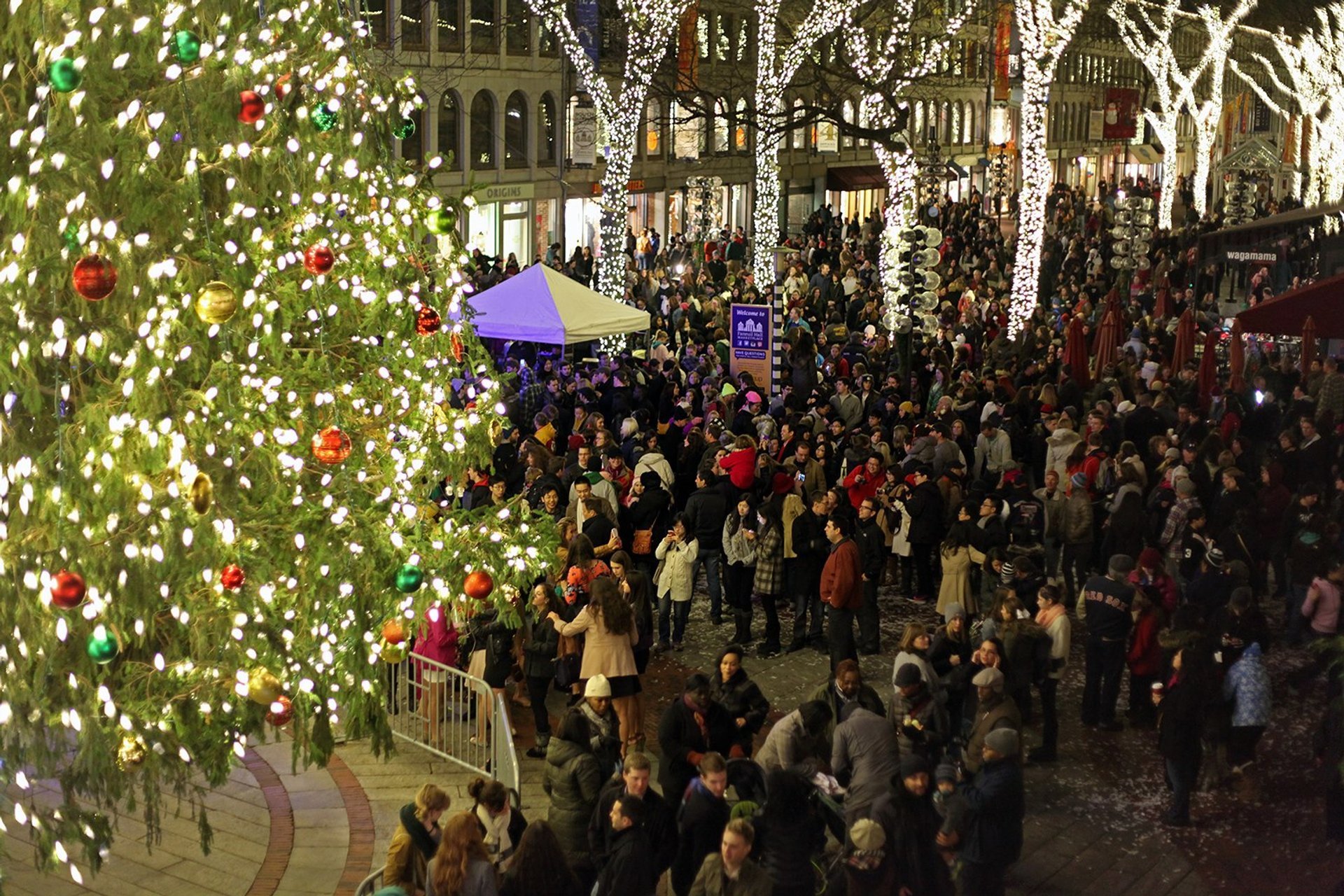 Illuminazione dell'albero di Natale