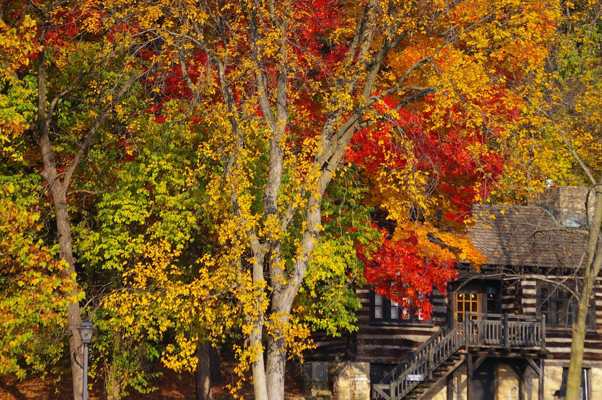 Cores do outono de Illinois