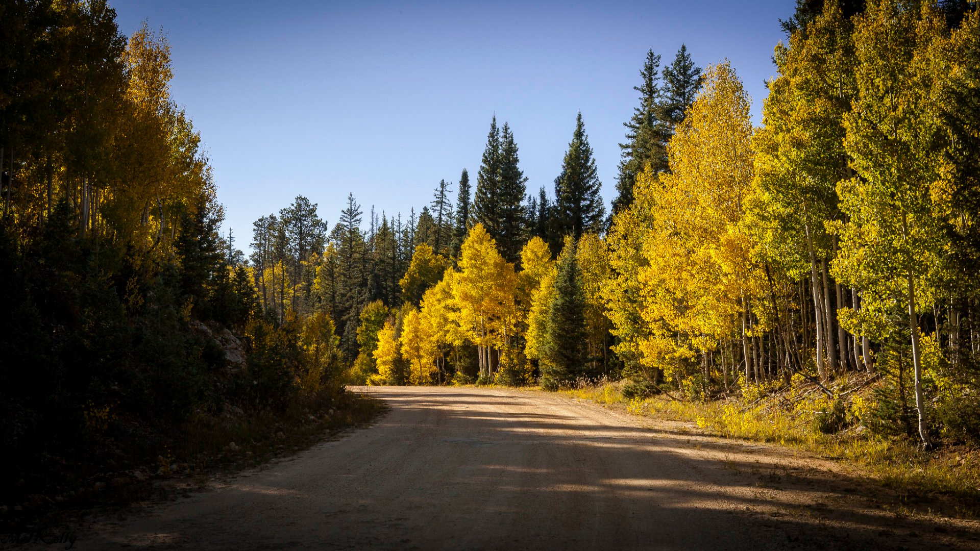 Herbst Belaubung