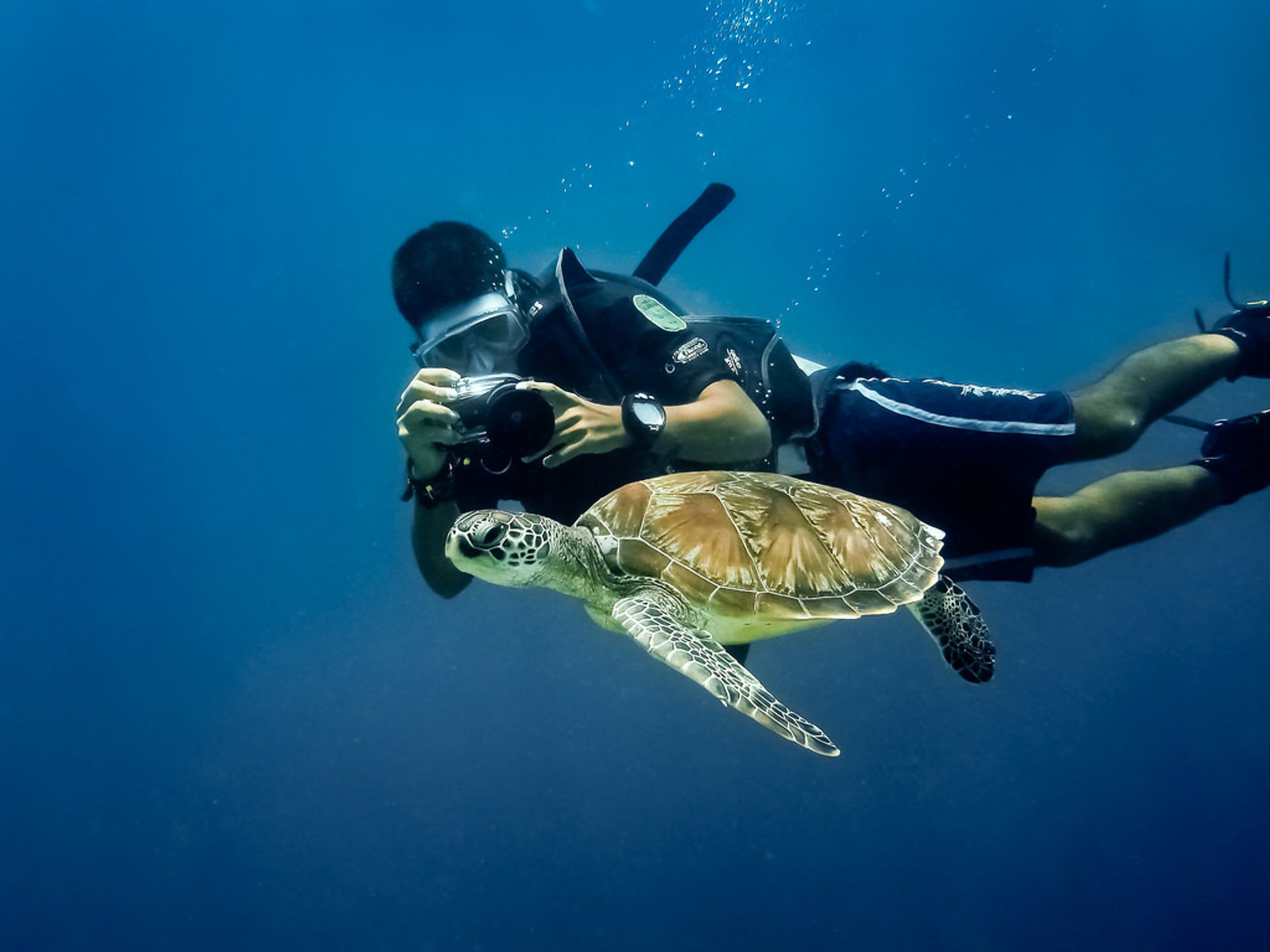 Buceo cerca de la isla de Borneo