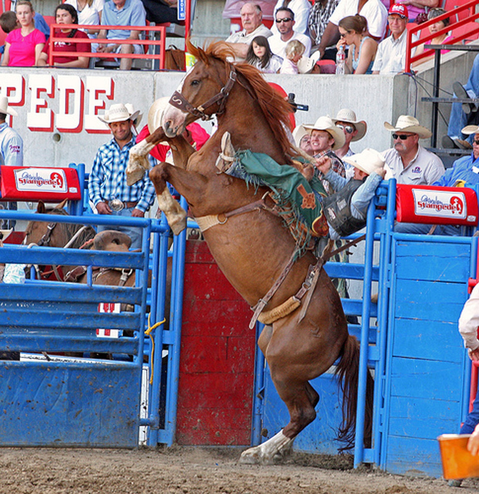 Stampede de Greeley