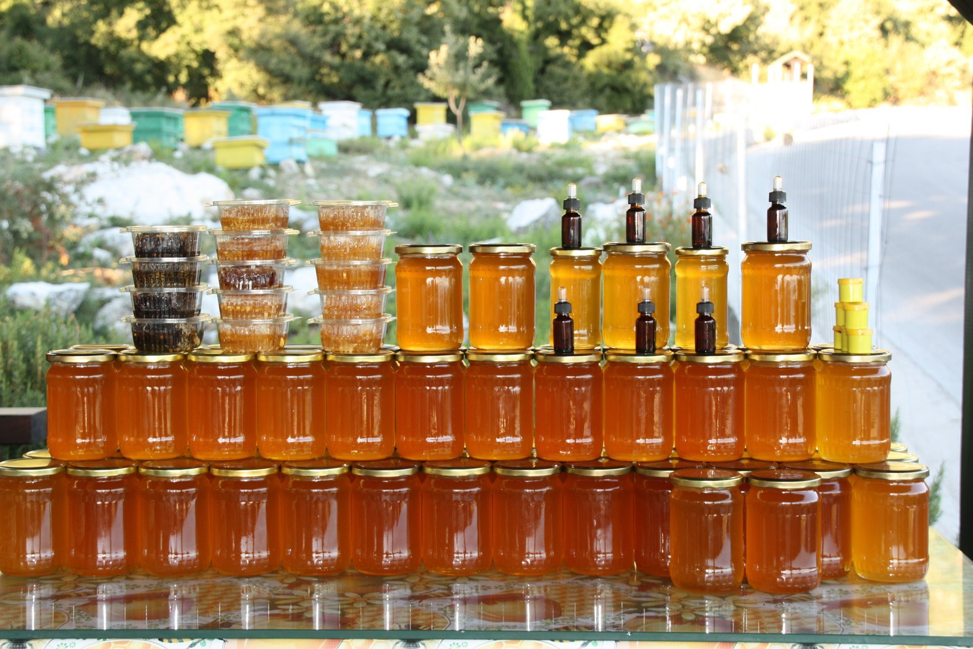 Honey Harvest