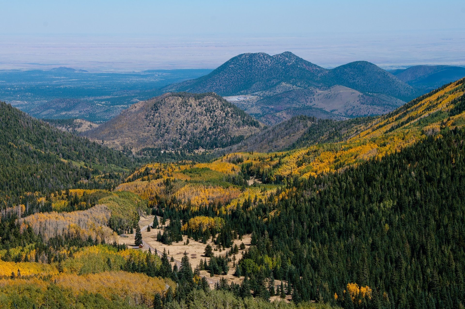 Herbstlaub in Arizona