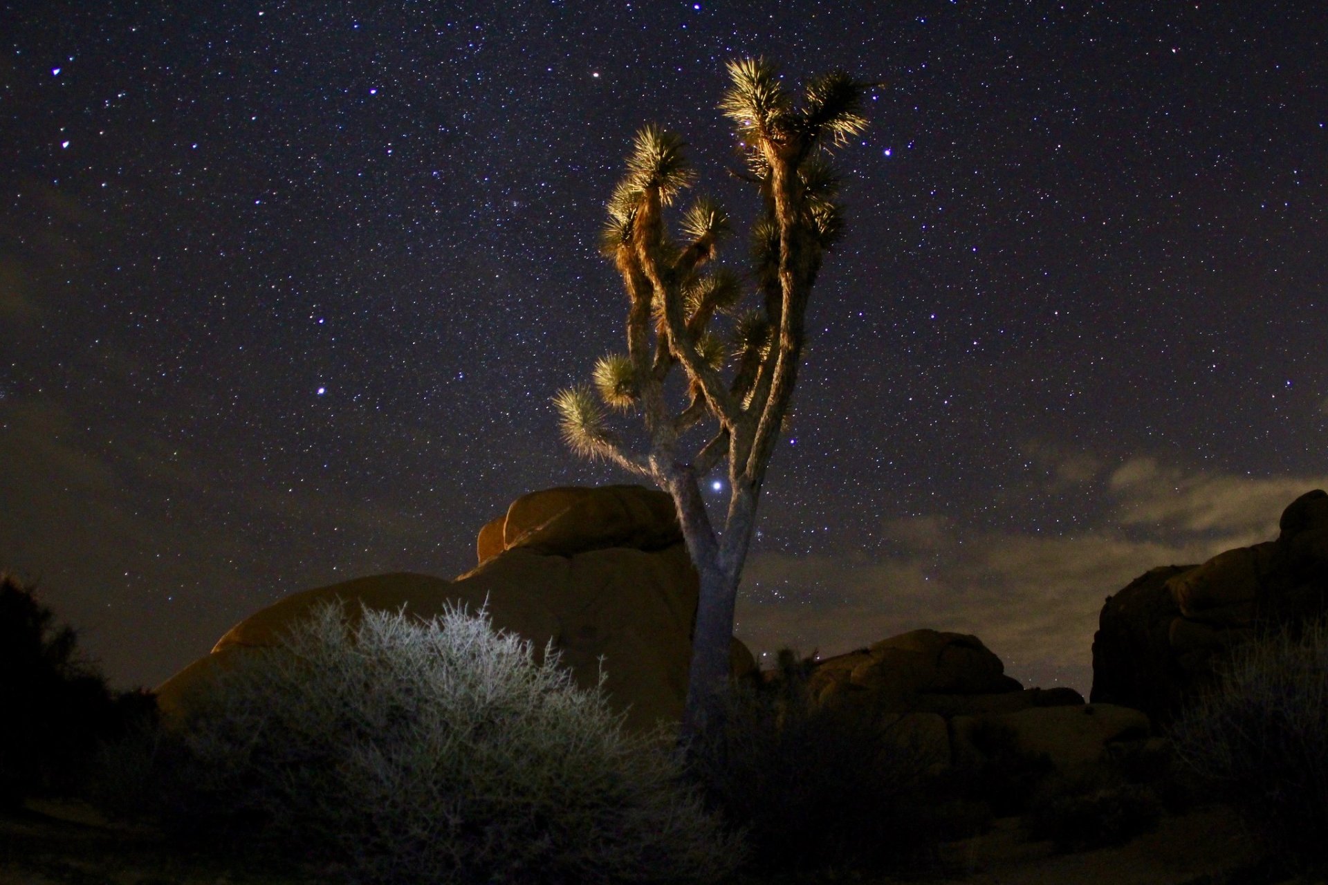 Stargazing