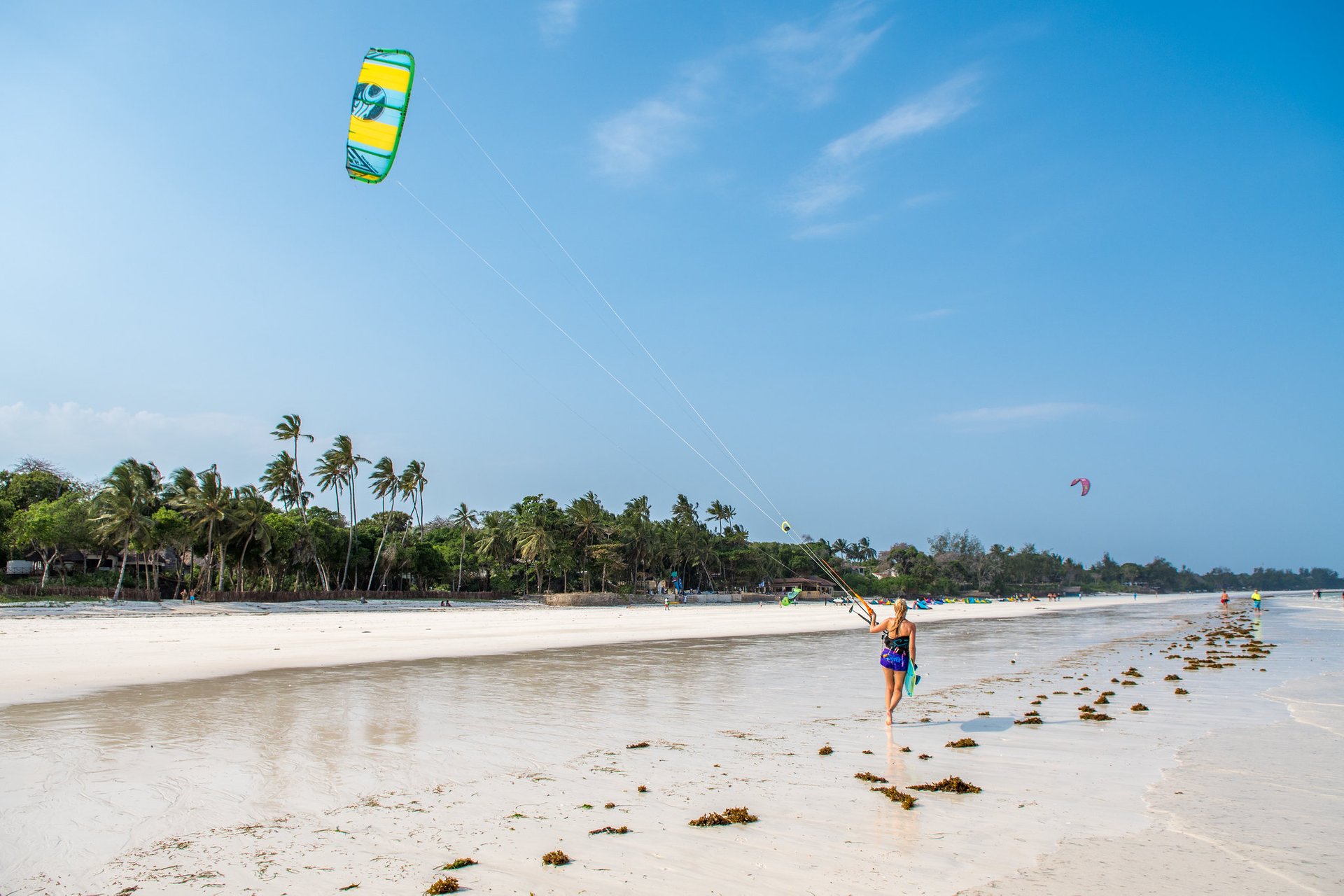 Kitesurf et planche à voile