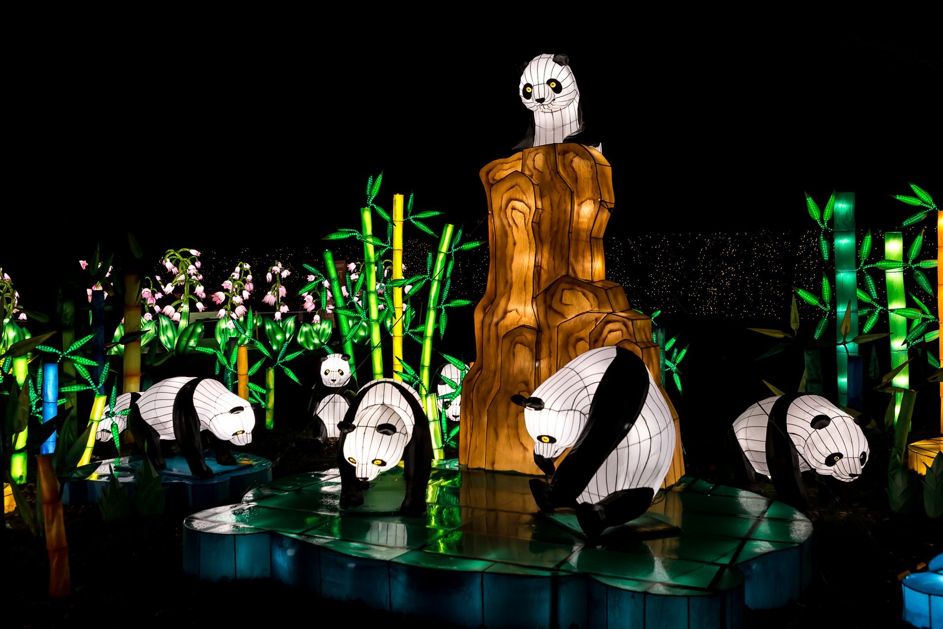 NYC Winter Lantern Festival 2022 in New York - Dates