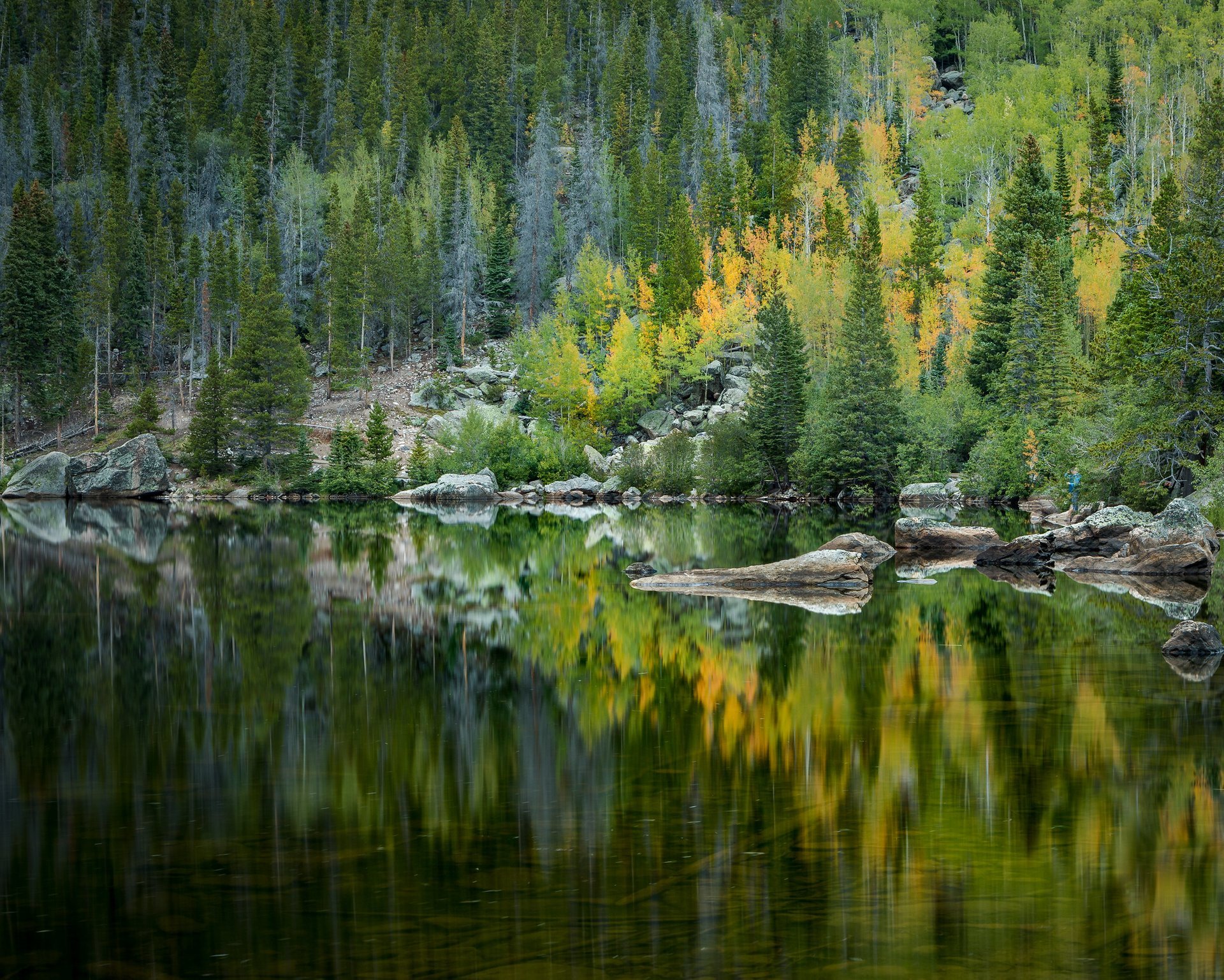 Herbstlaub in Denver