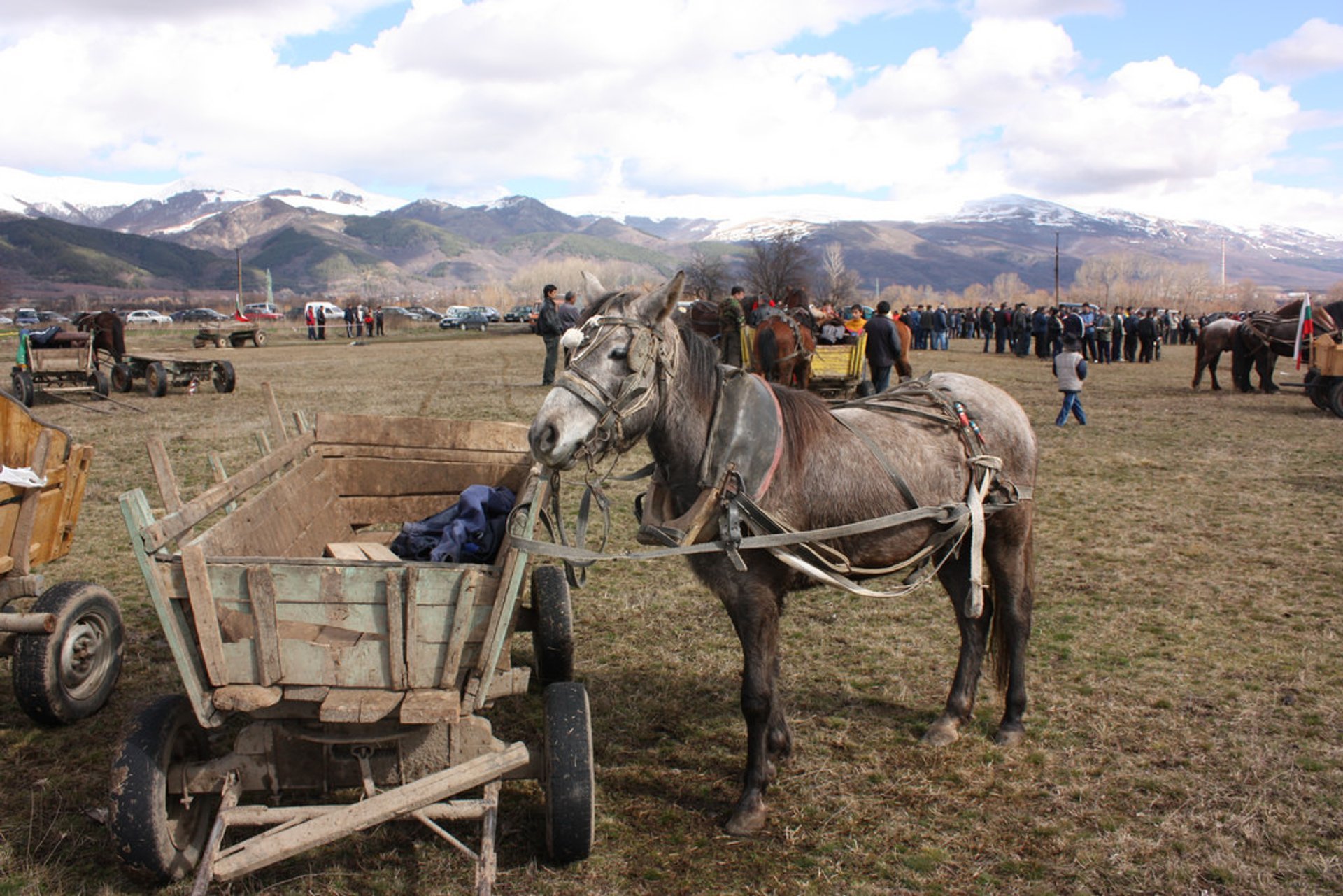 Fête de St. Théodore ou Pâques du Cheval