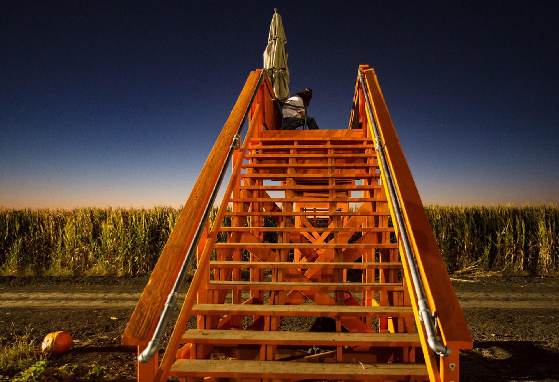 Cool Patch Pumpkins Corn Maze