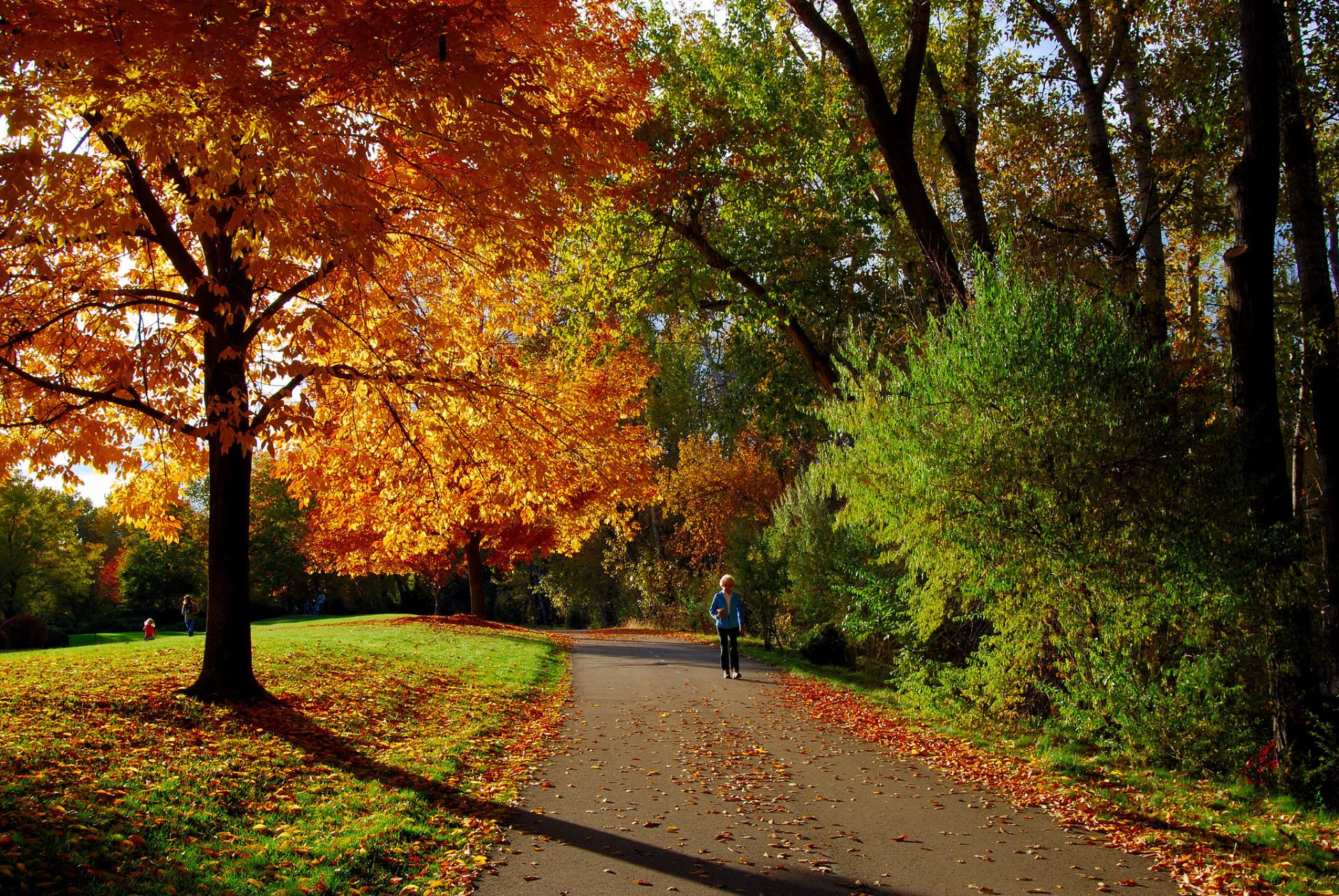 Colores del otoño en Idaho