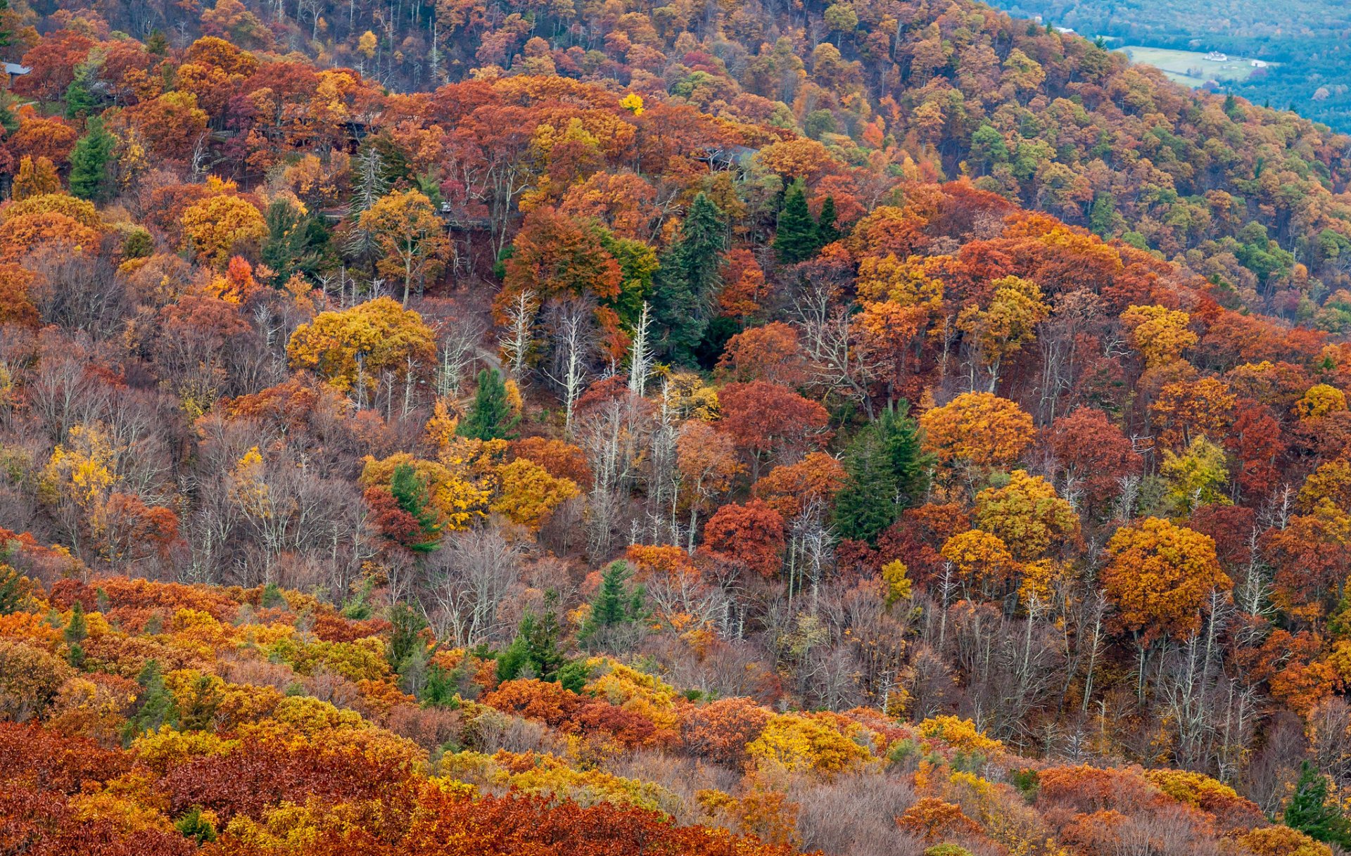 Colores de otoño en Parque Nacional Shenandoah