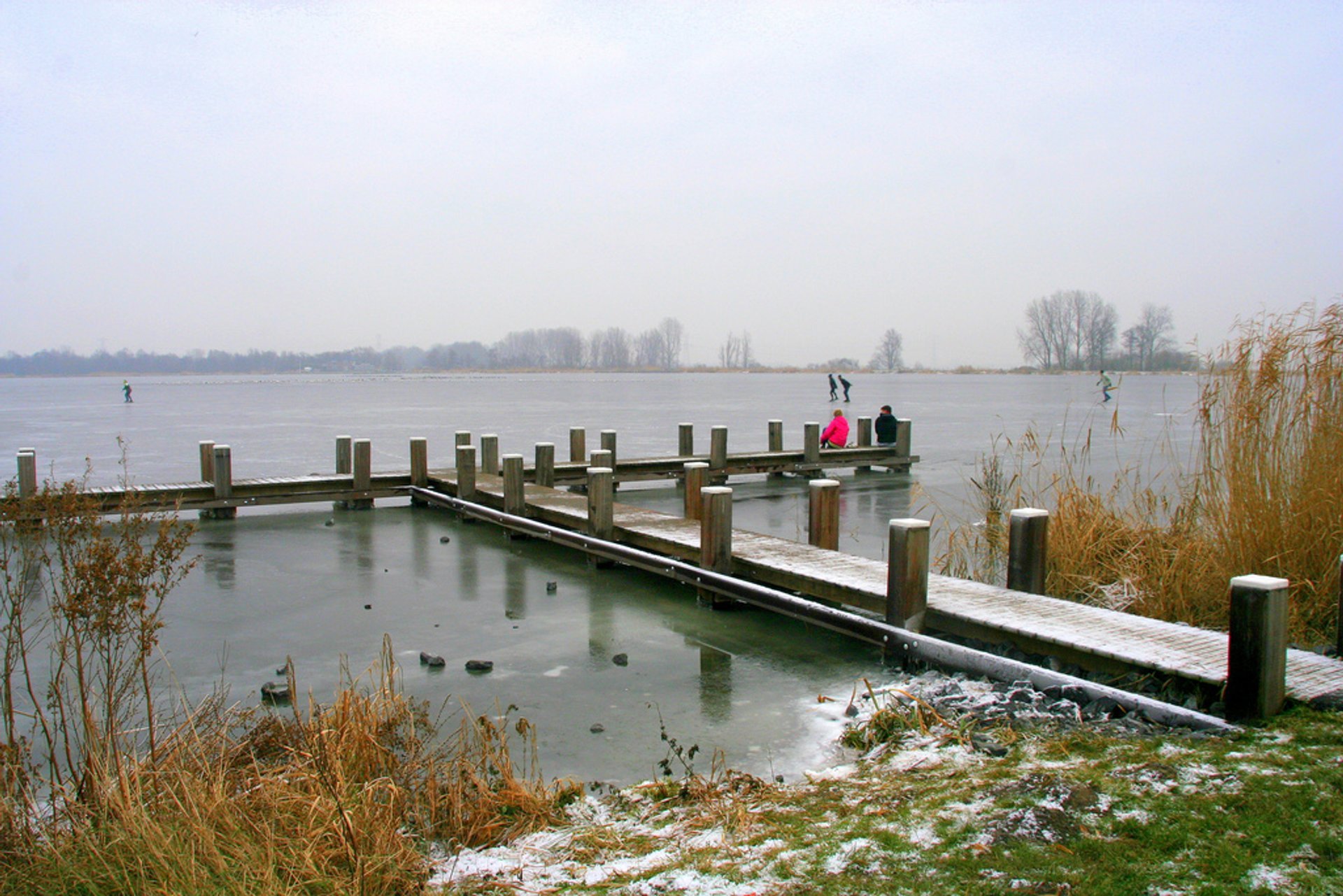 Winter bei Hoge Veluwe