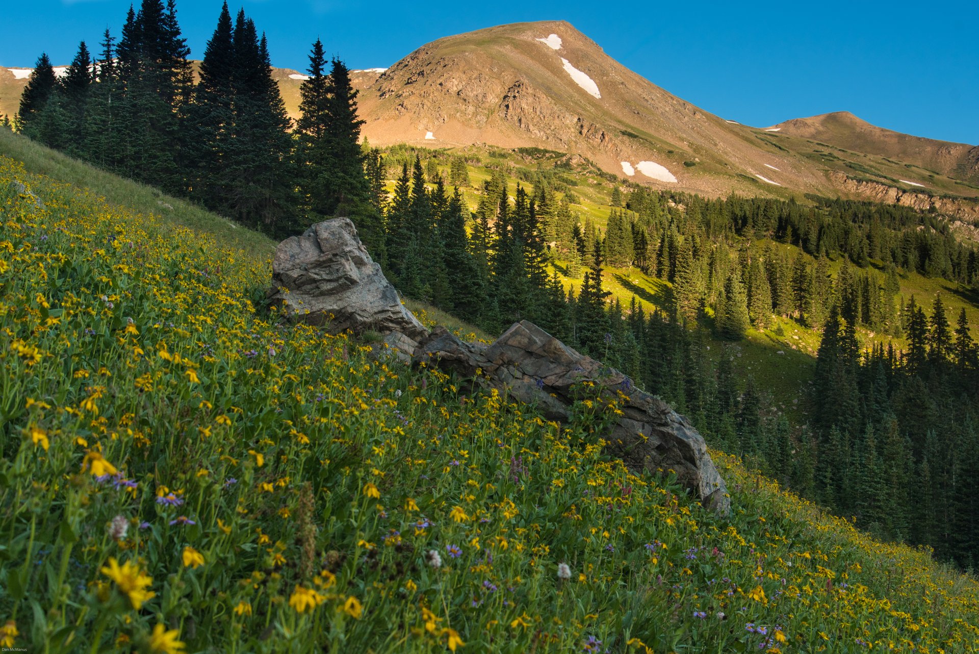 Butler Gulch