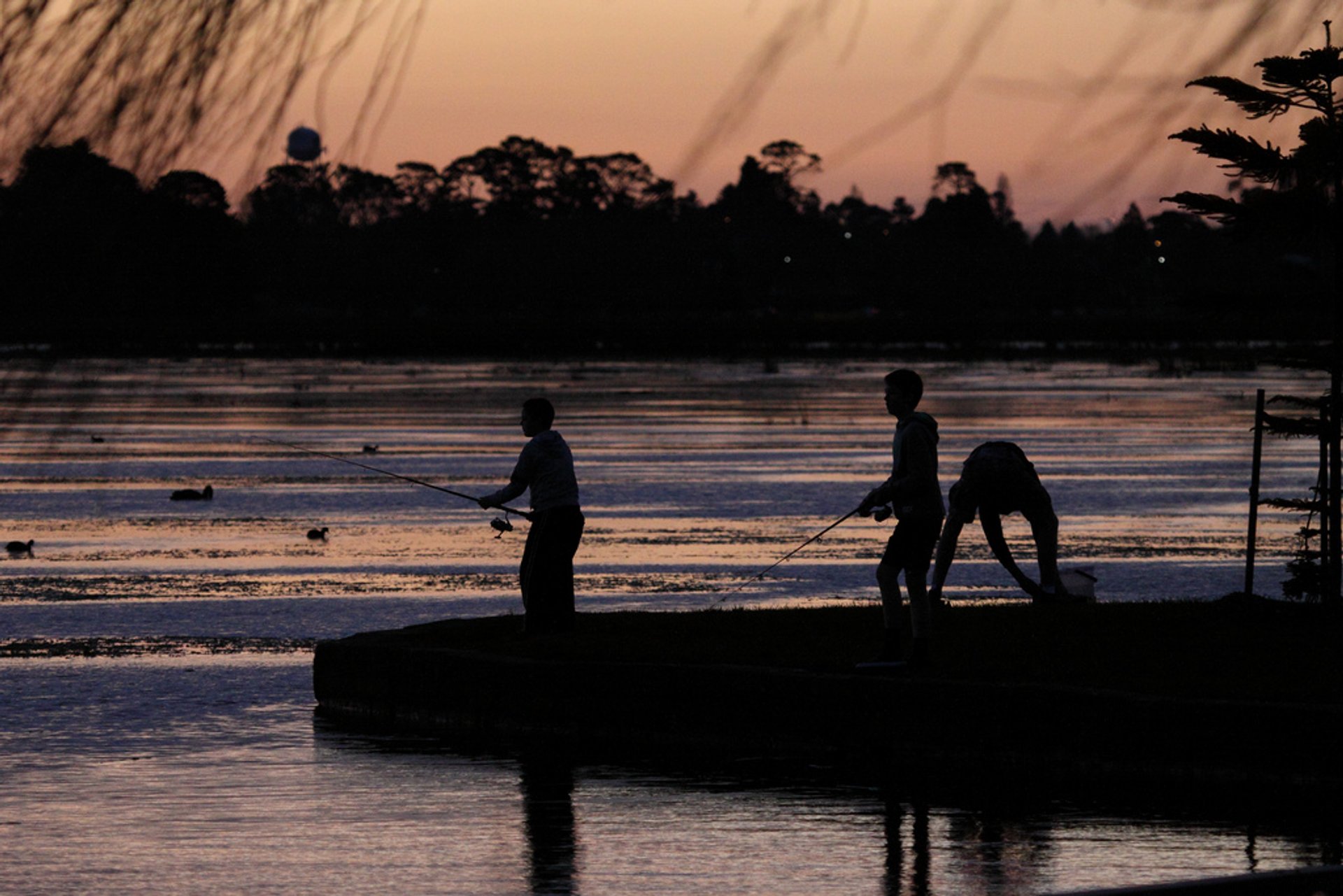 Pesca en la región de Gippsland