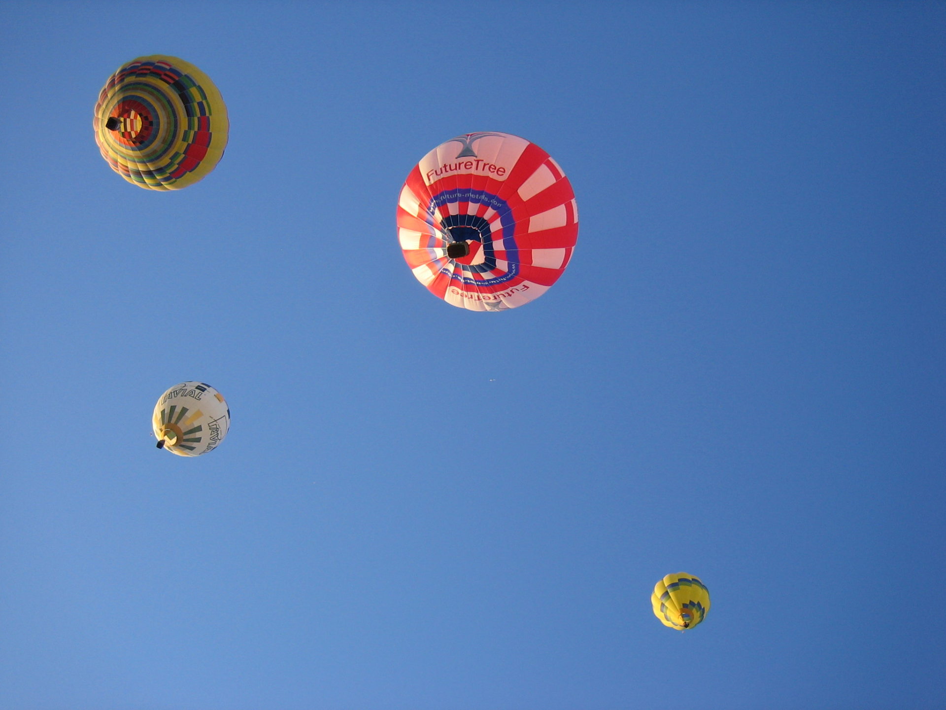 Festival européen de montgolfières