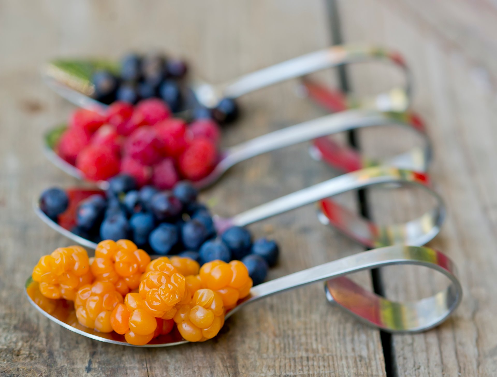 Stagione dei frutti di bosco